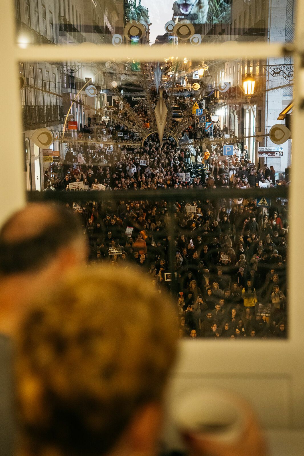 Manifestação De Defesa Animal - 1 - 0