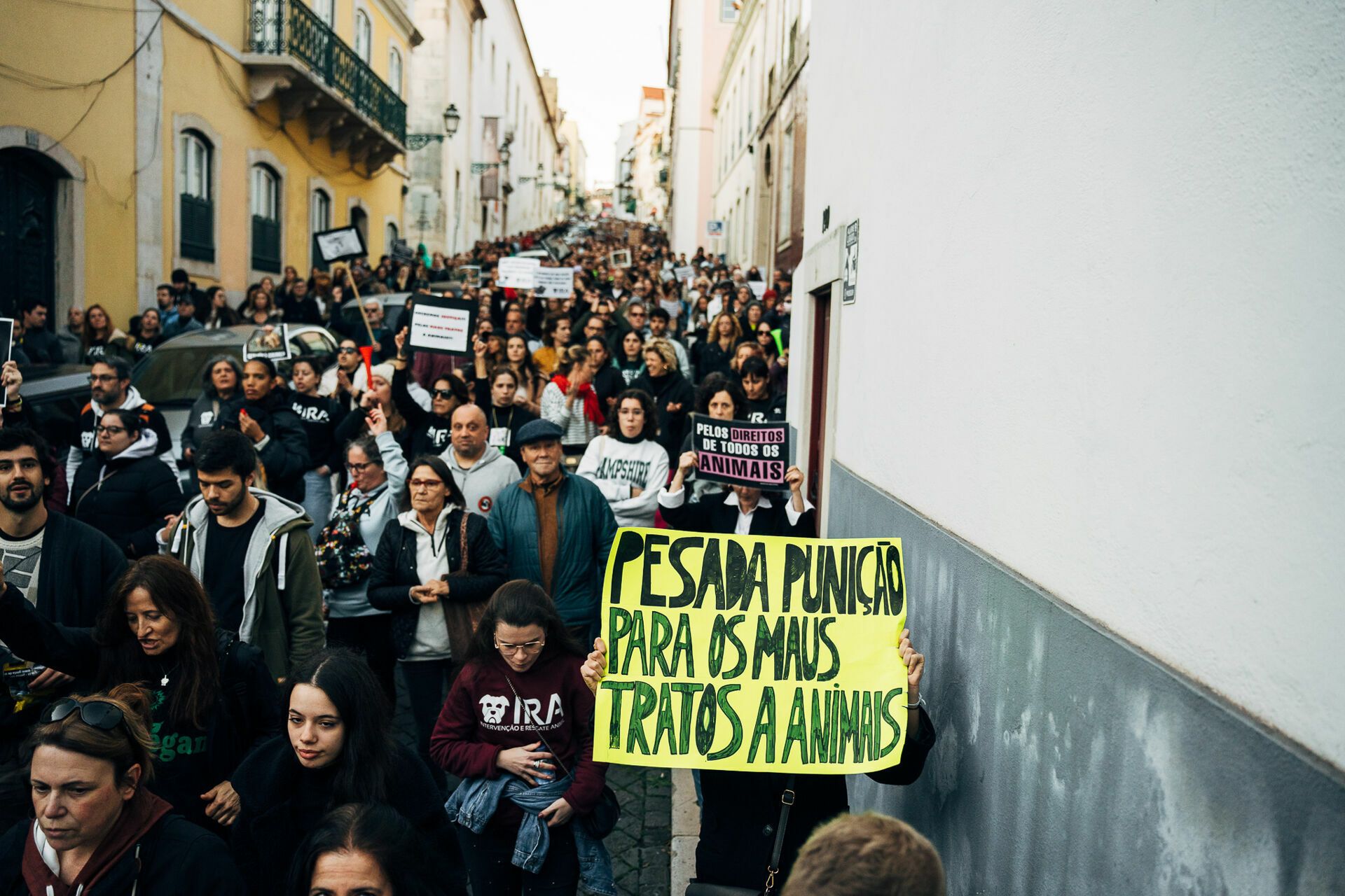 Manifestação De Defesa Animal - 1 - 0