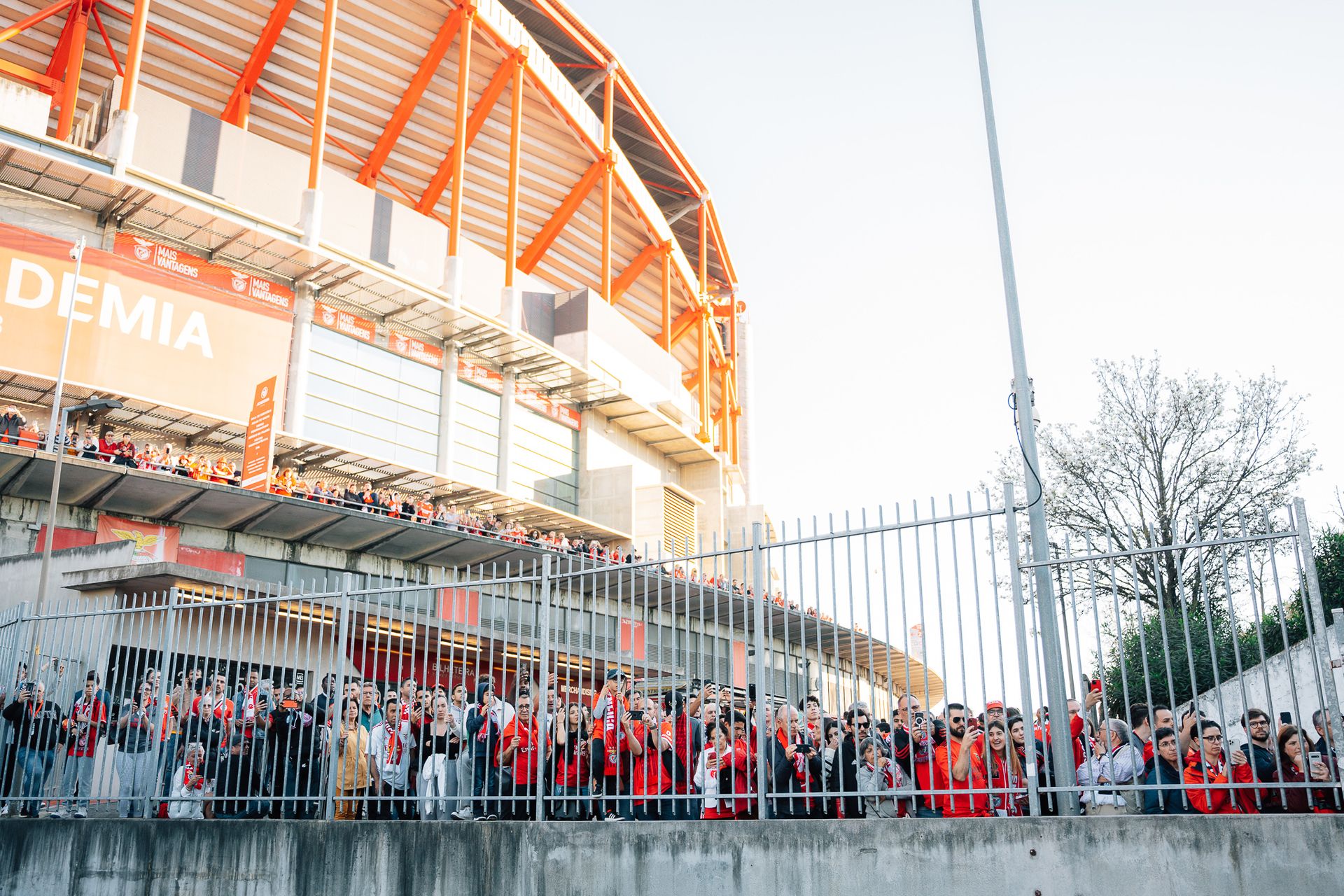 Benfica - Inter de Milão - 2 - 0