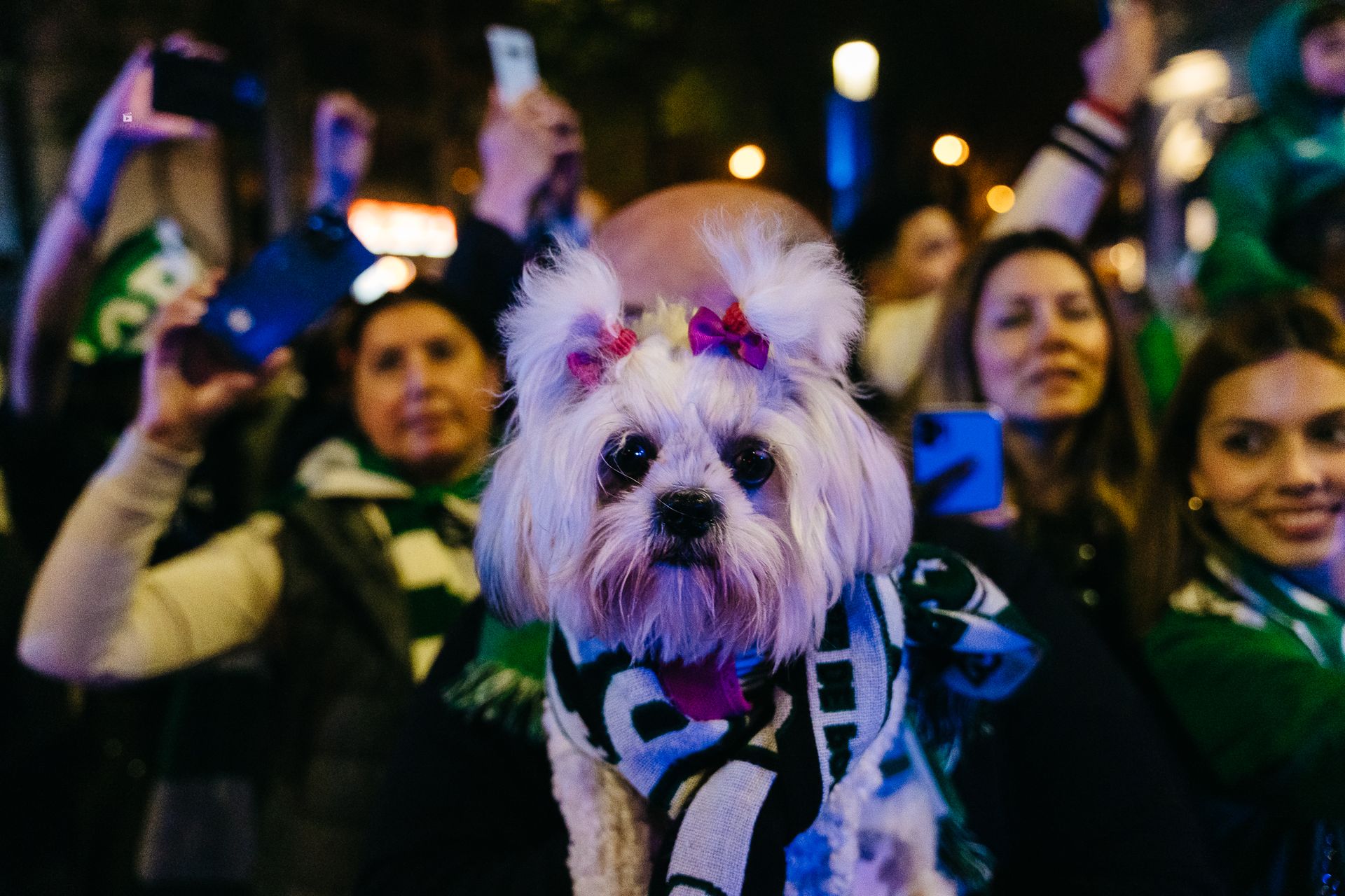 Sporting Campeão 2023-2024 - 2 - 0