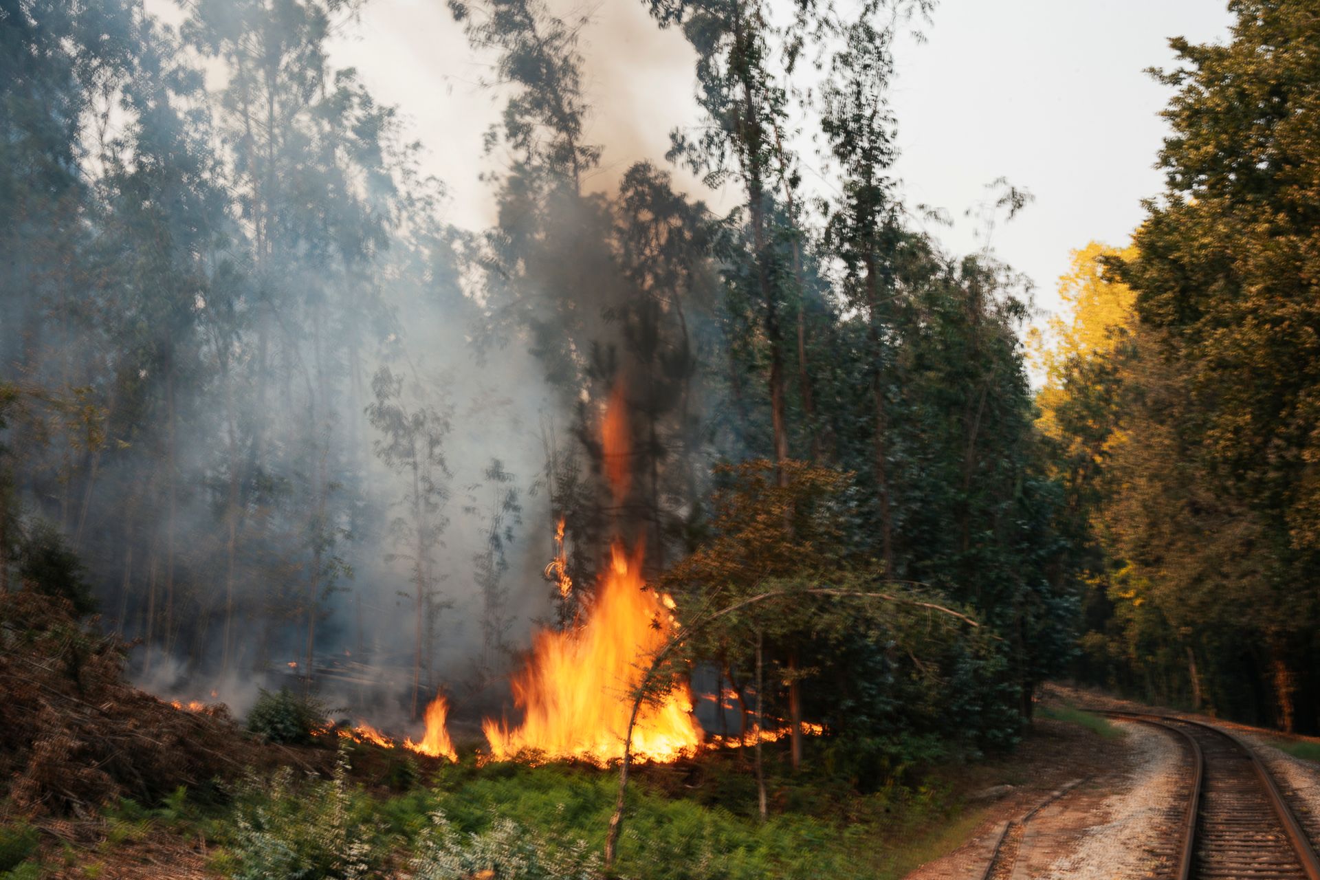 "Os Heróis" das Chamas - 2 - 0