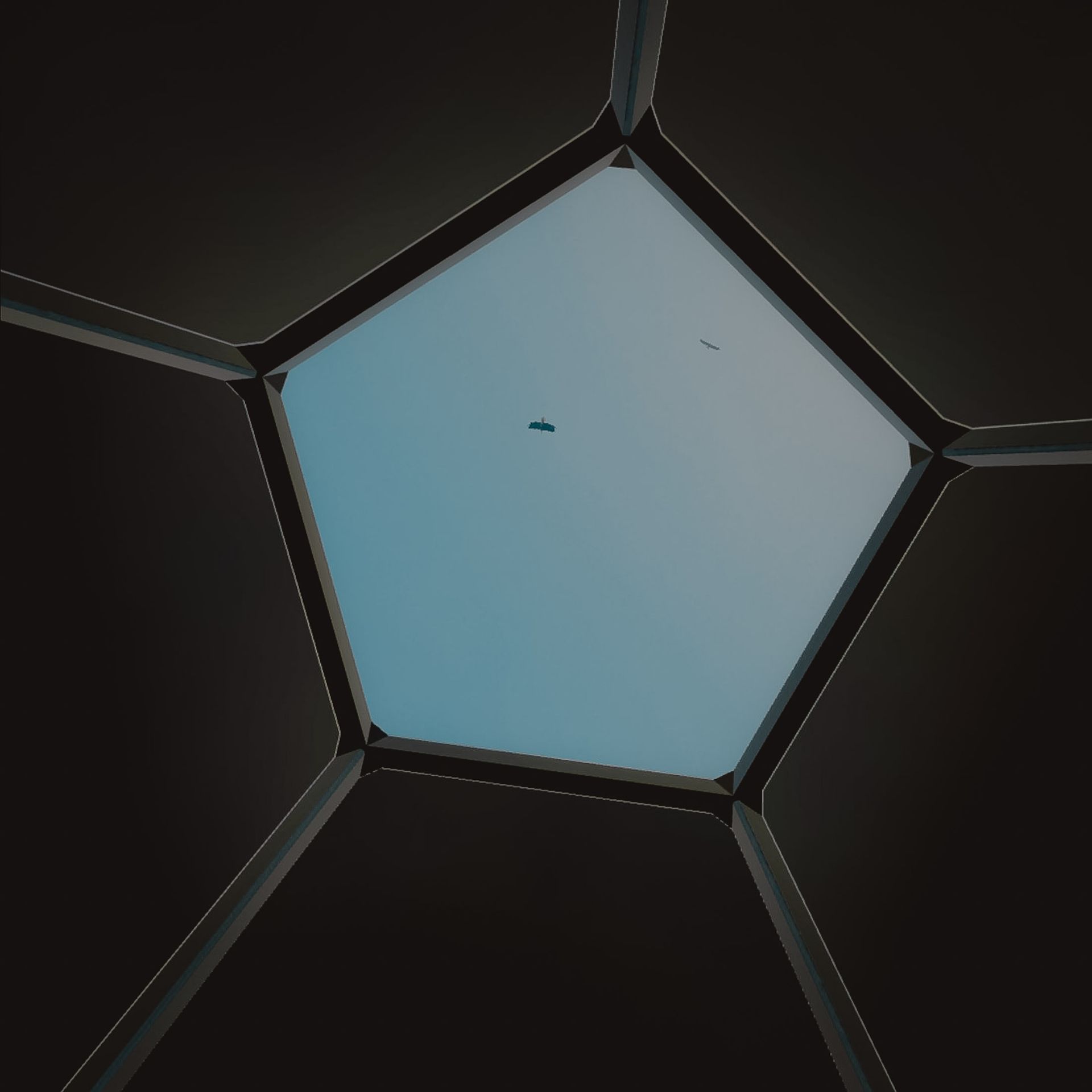 Qualy Nutri - Mental Pro - 6 - 1