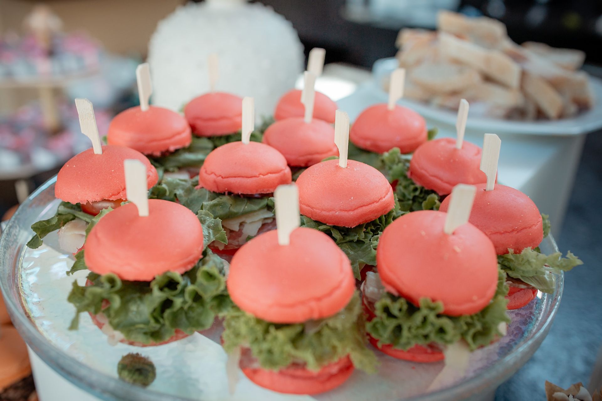 Serena - 1 ano - 2 - 6