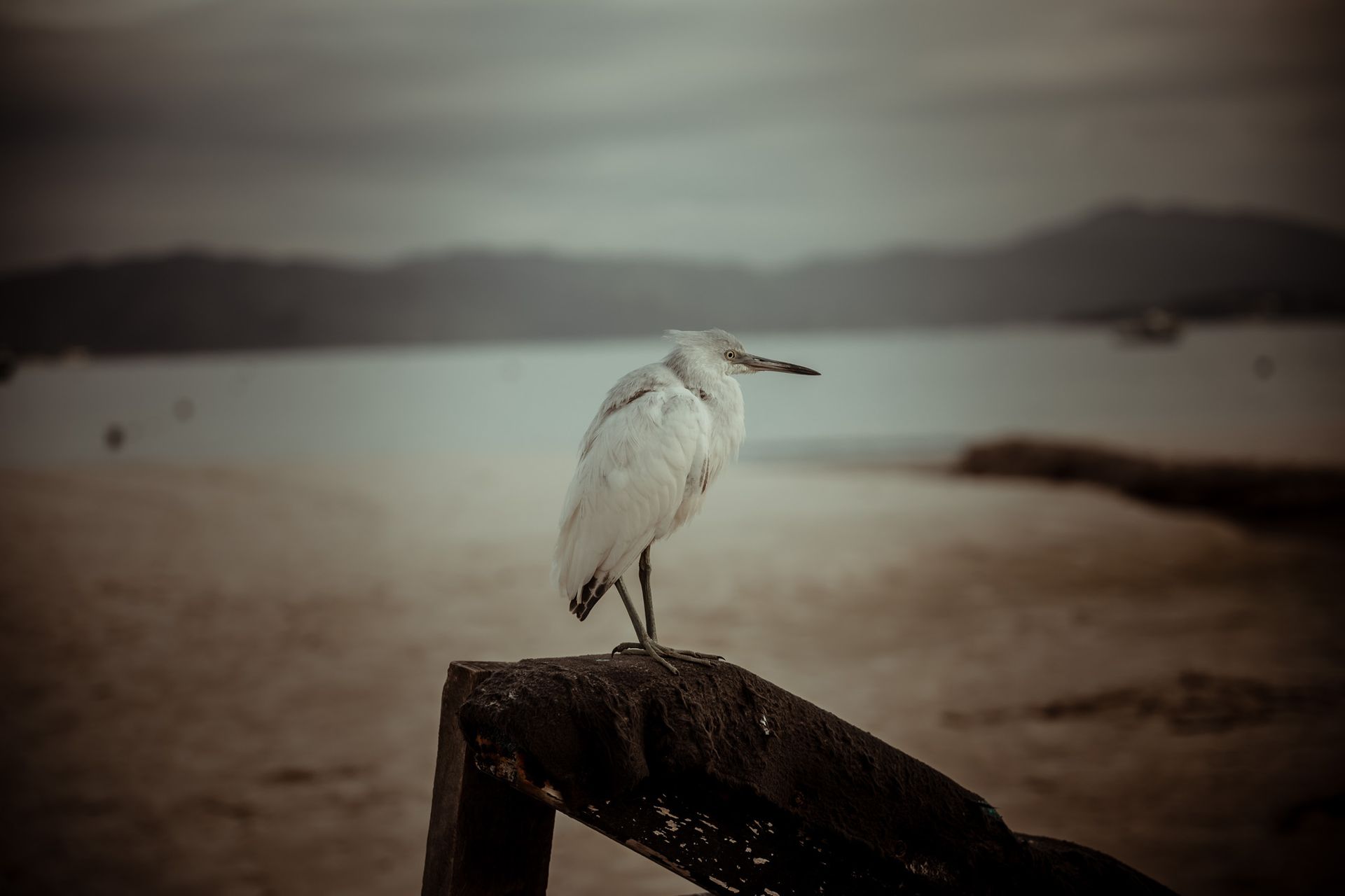 Stéfanni & Lucas - 2 - 22