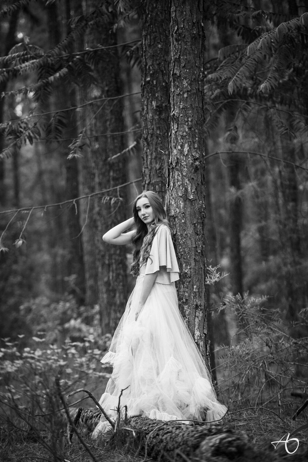 Book de 15 anos da súper Debutante Lara - 2 - 1