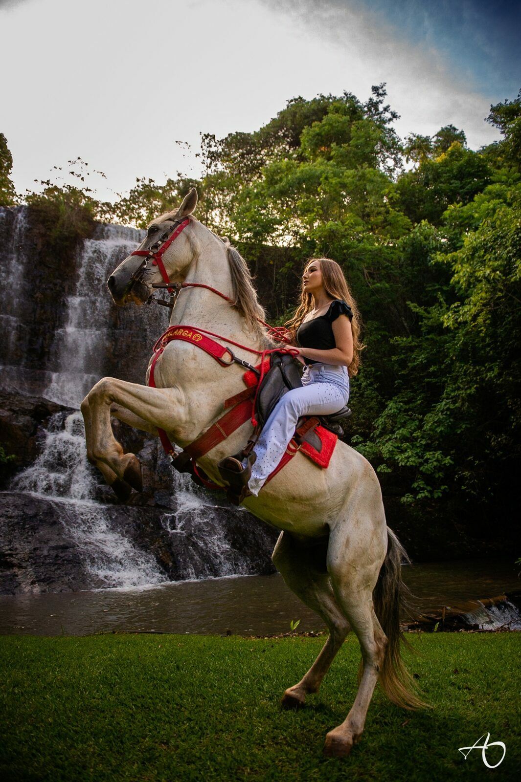Book de 15 anos da súper Debutante Lara - 2 - 1
