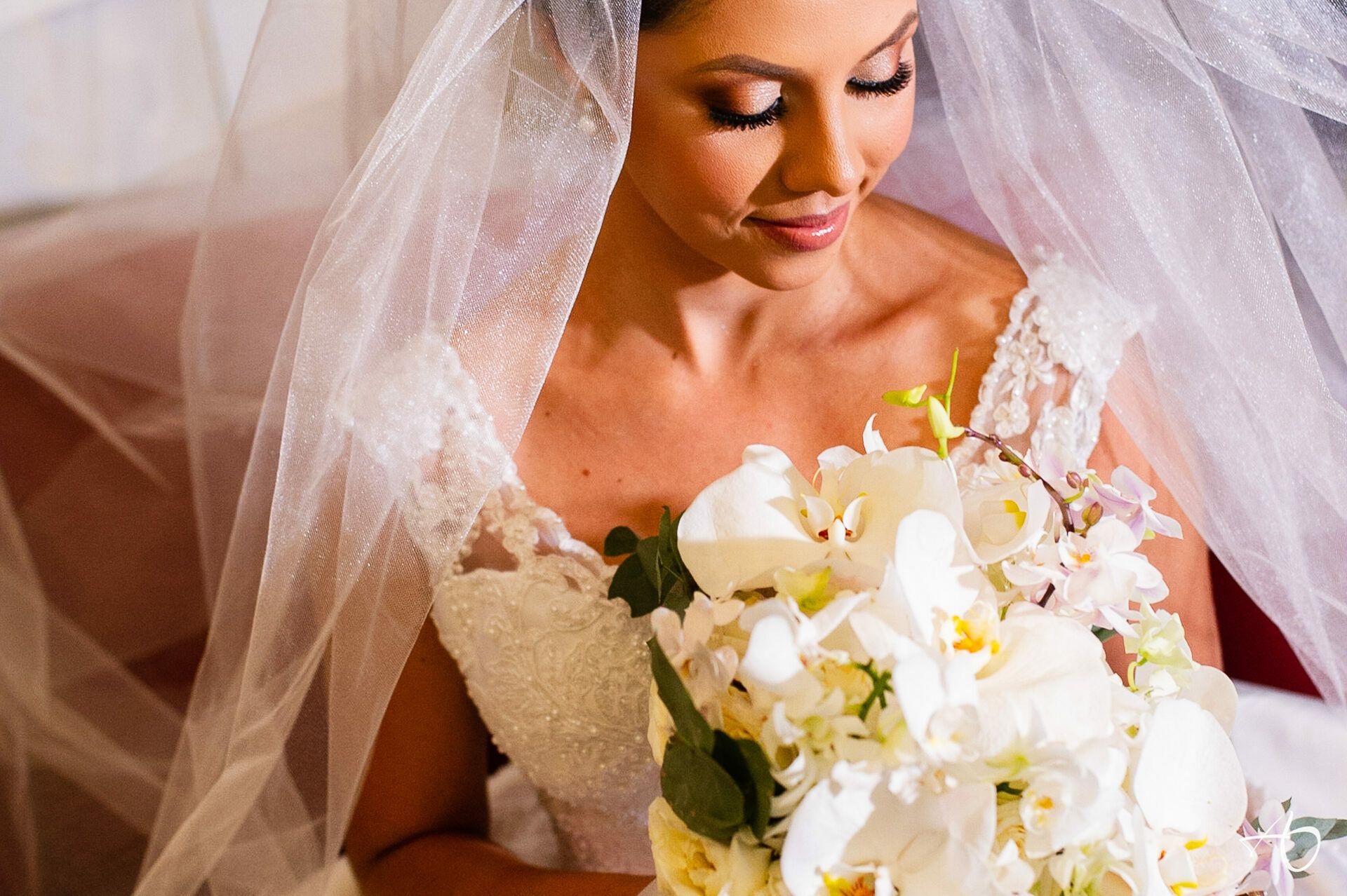 Alysson Oliveira Fotografia - 0 - 0