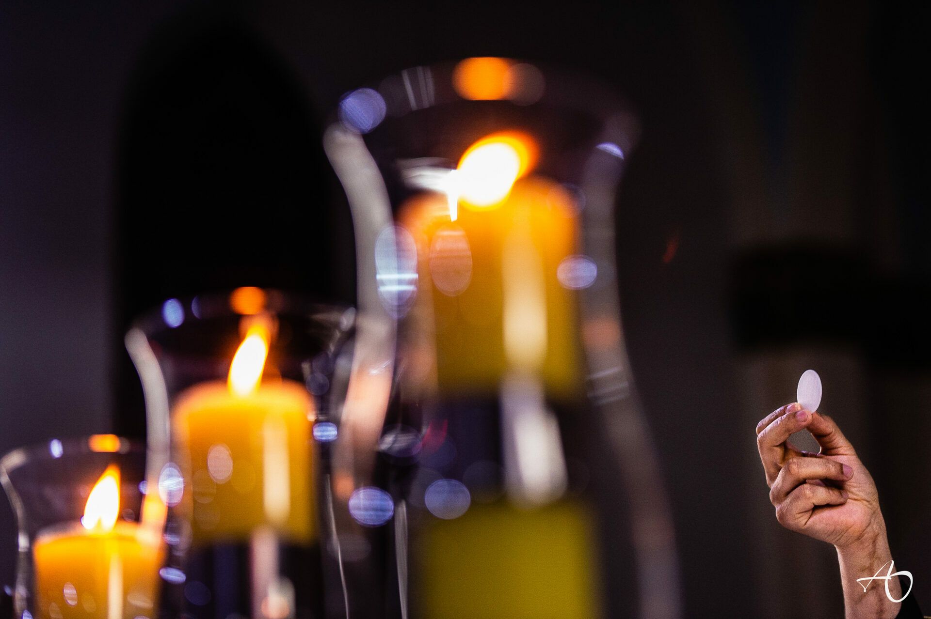 Alysson Oliveira Fotografia - 0 - 0