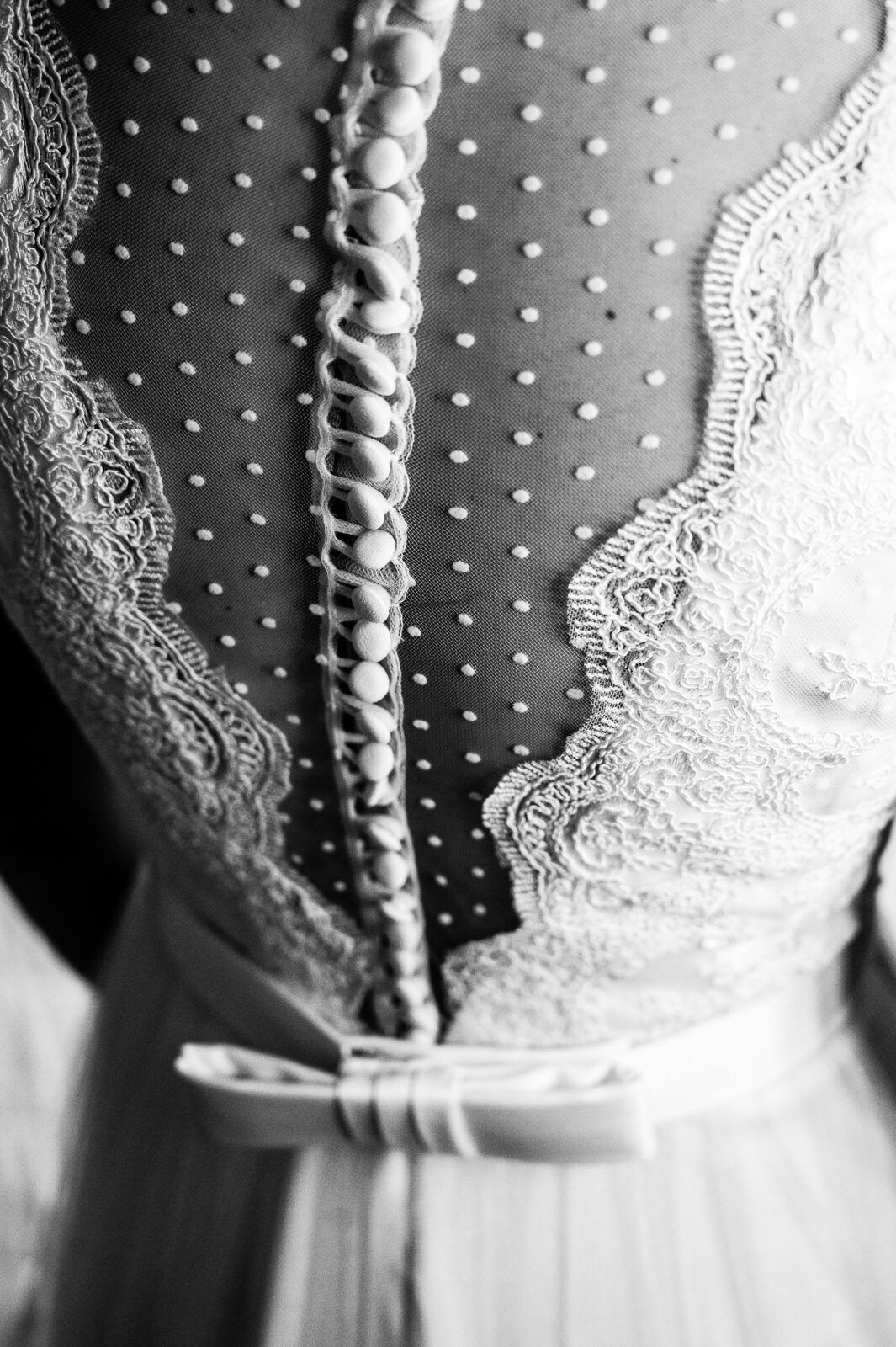 Alysson Oliveira Fotografia - 0 - 0