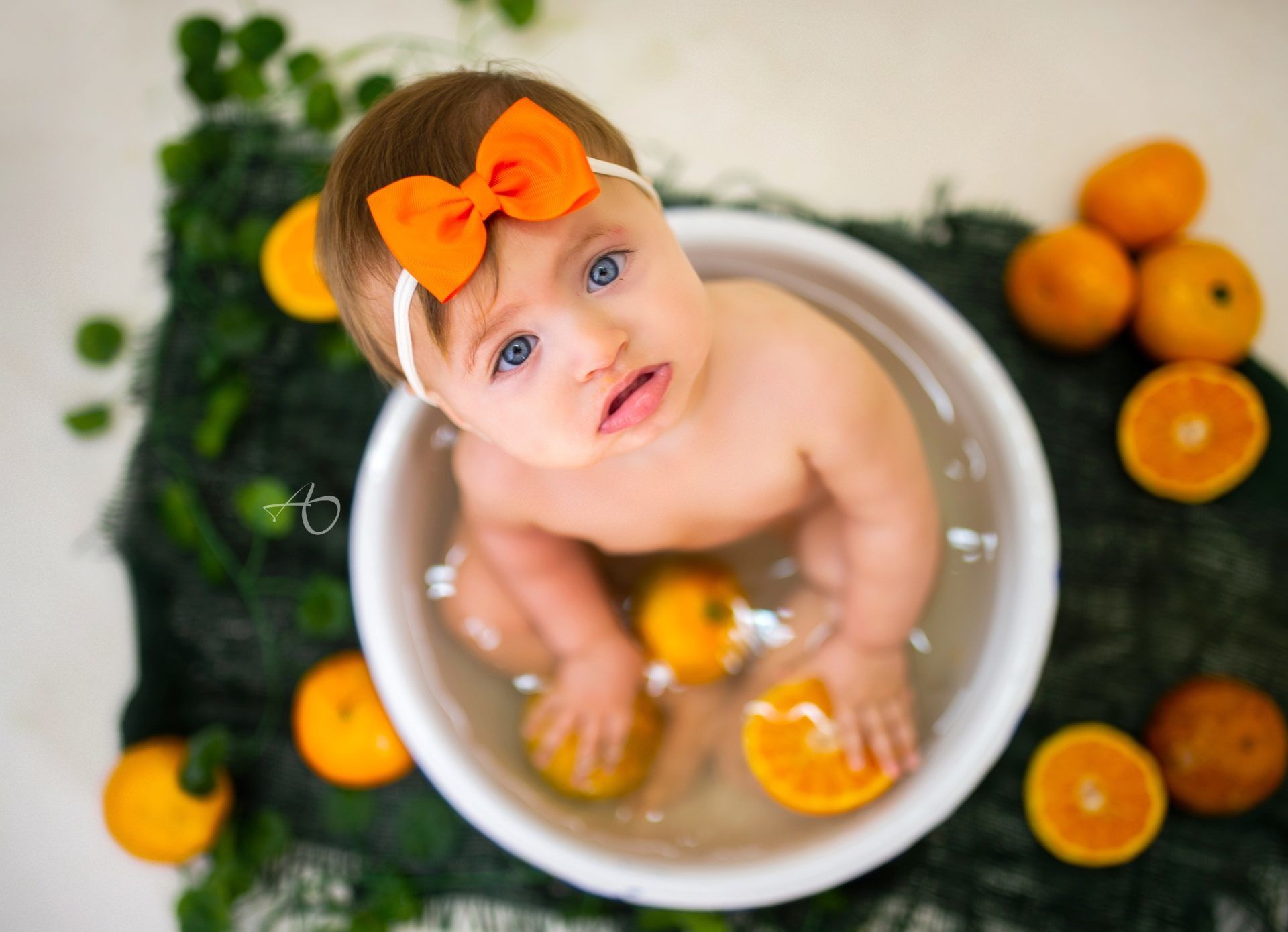 Ensaio Mês a Mês - 2 - 1