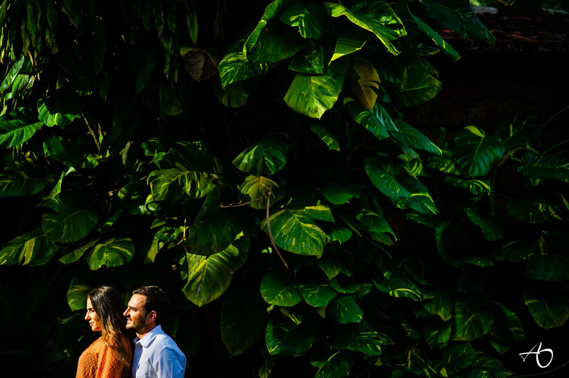 Alysson Oliveira Fotografia - 0 - 0