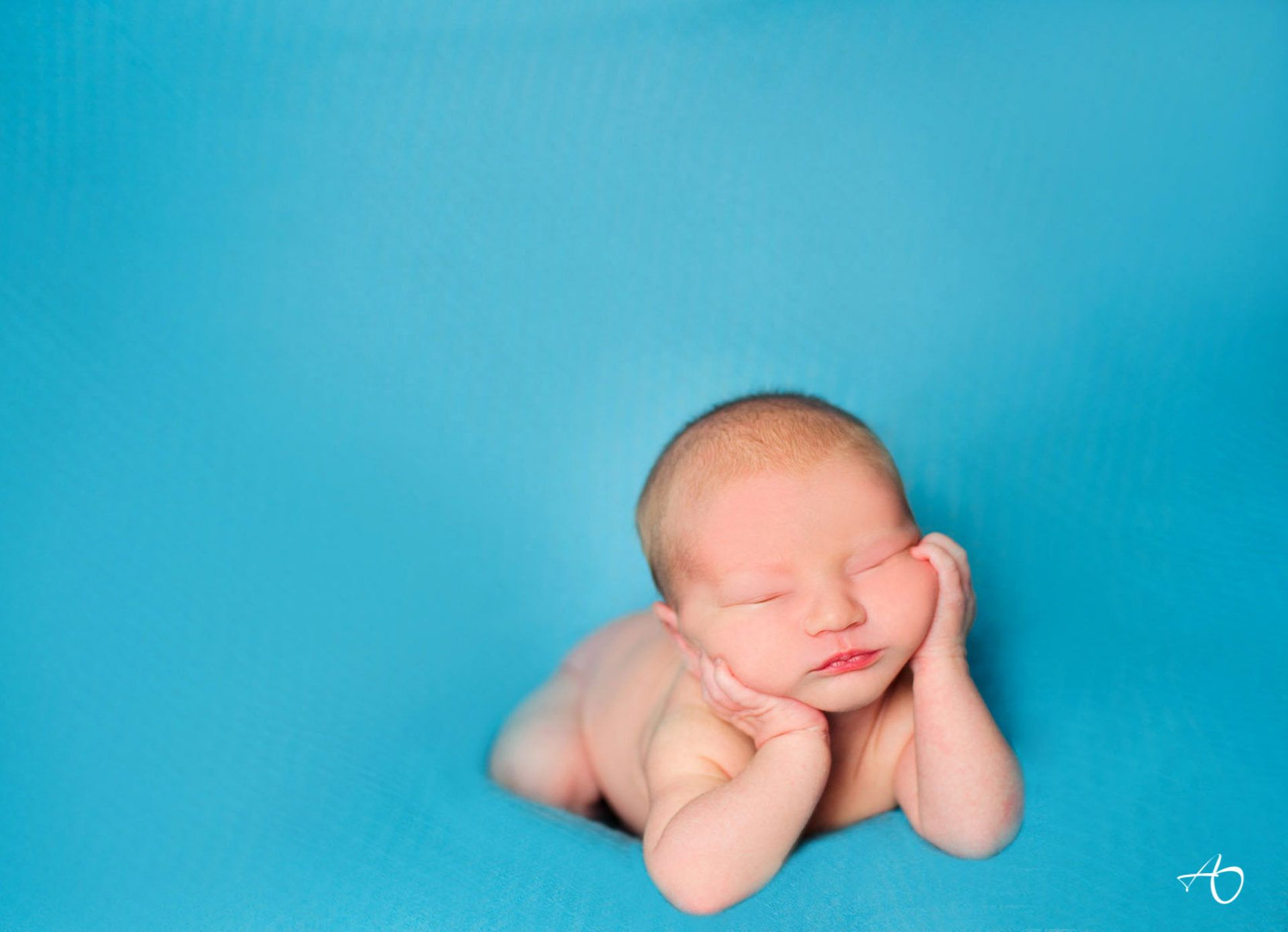 Portfolio do s ensaios Newborn recém nascido - 2 - 0