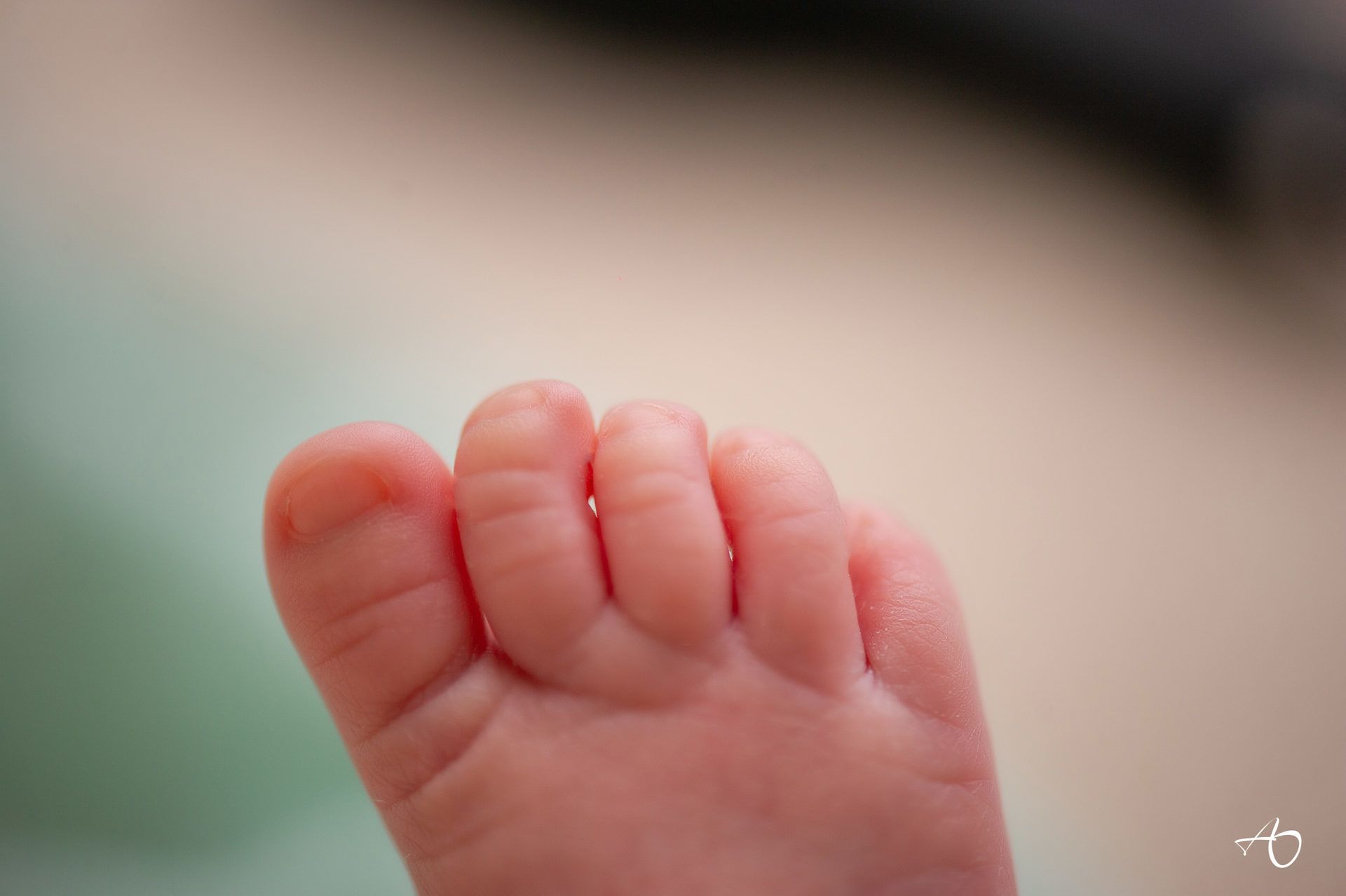 Portfolio do s ensaios Newborn recém nascido - 2 - 3