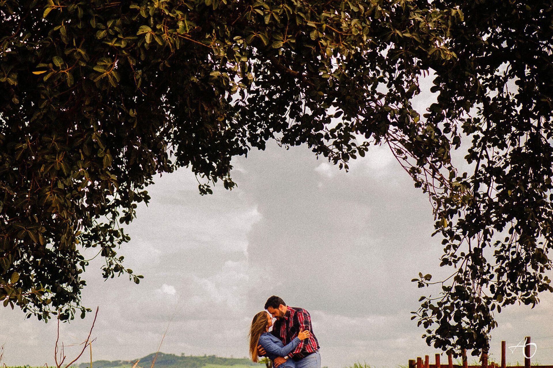 Alysson Oliveira Fotografia - 0 - 2