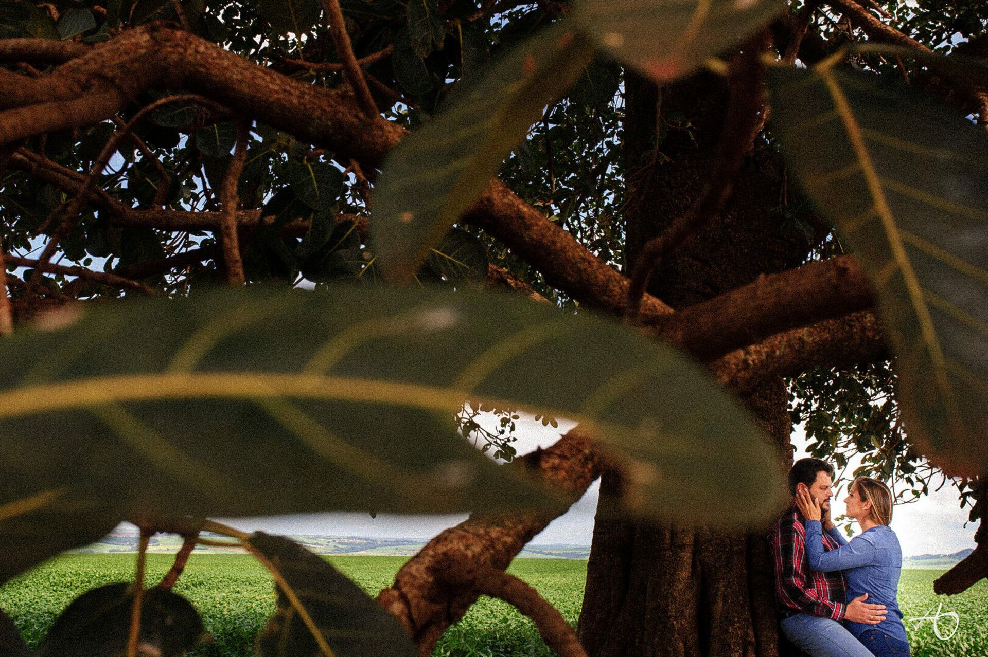 Alysson Oliveira Fotografia - 0 - 1