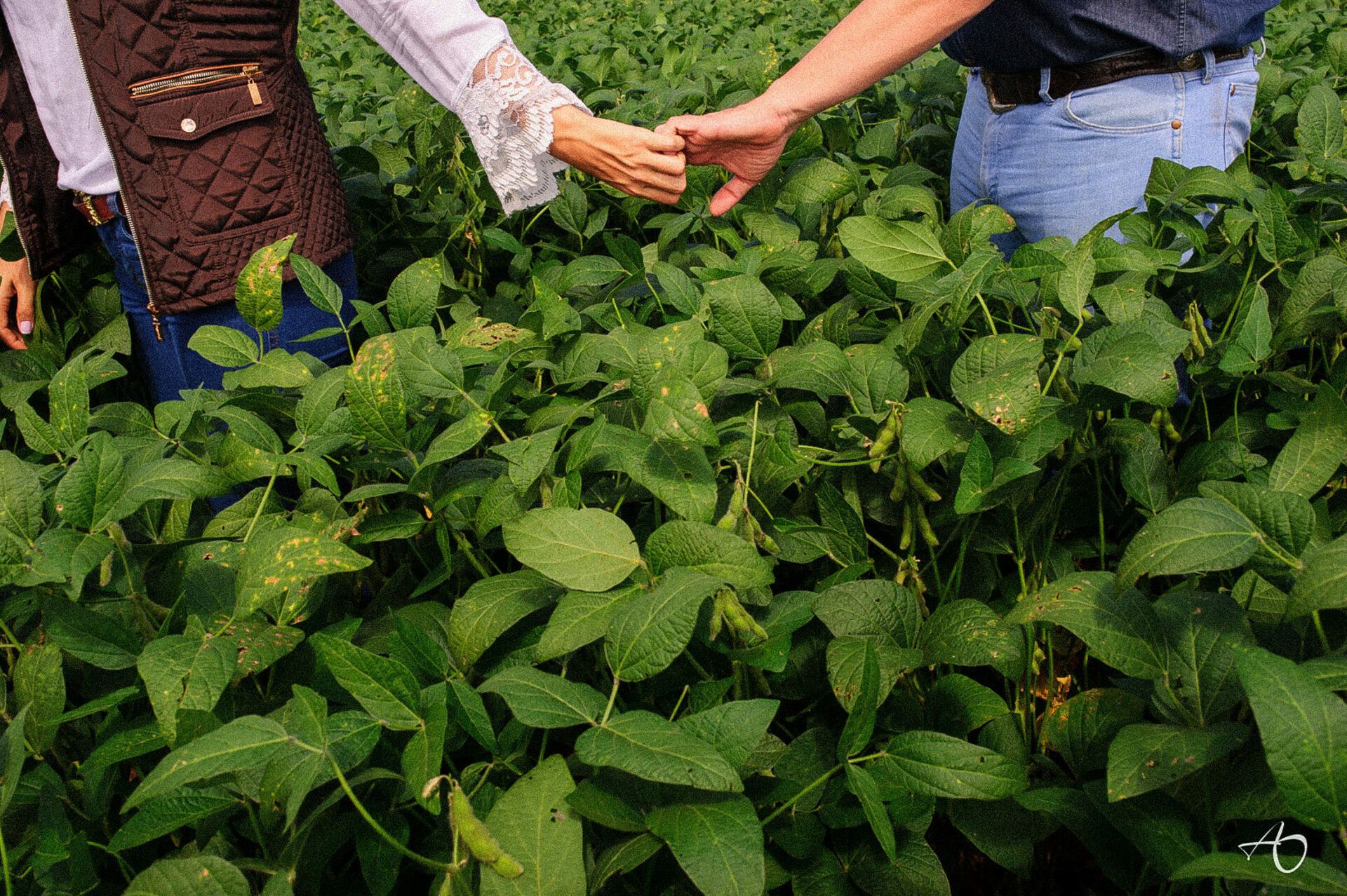 Alysson Oliveira Fotografia - 0 - 2