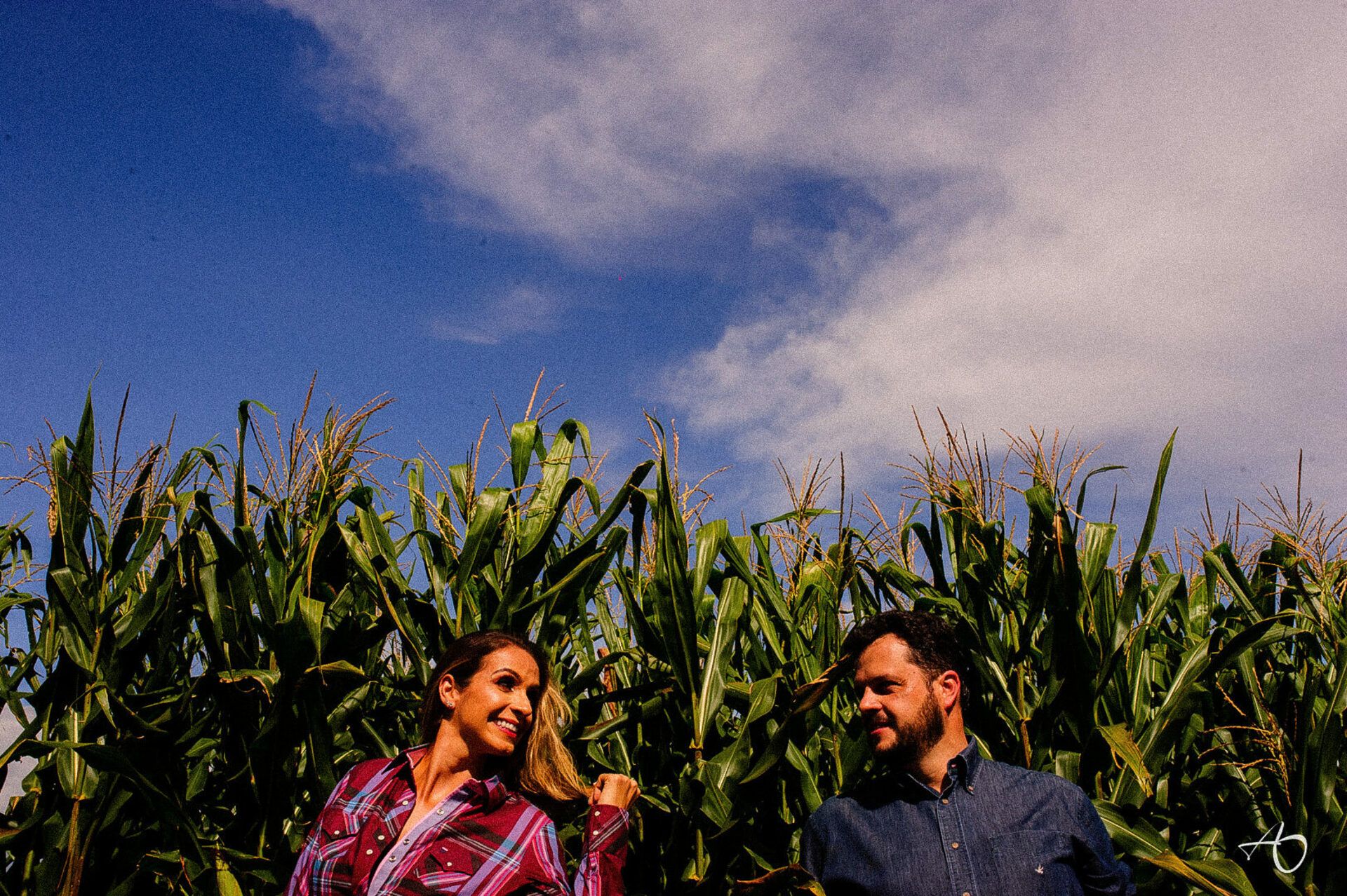 Alysson Oliveira Fotografia - 0 - 2