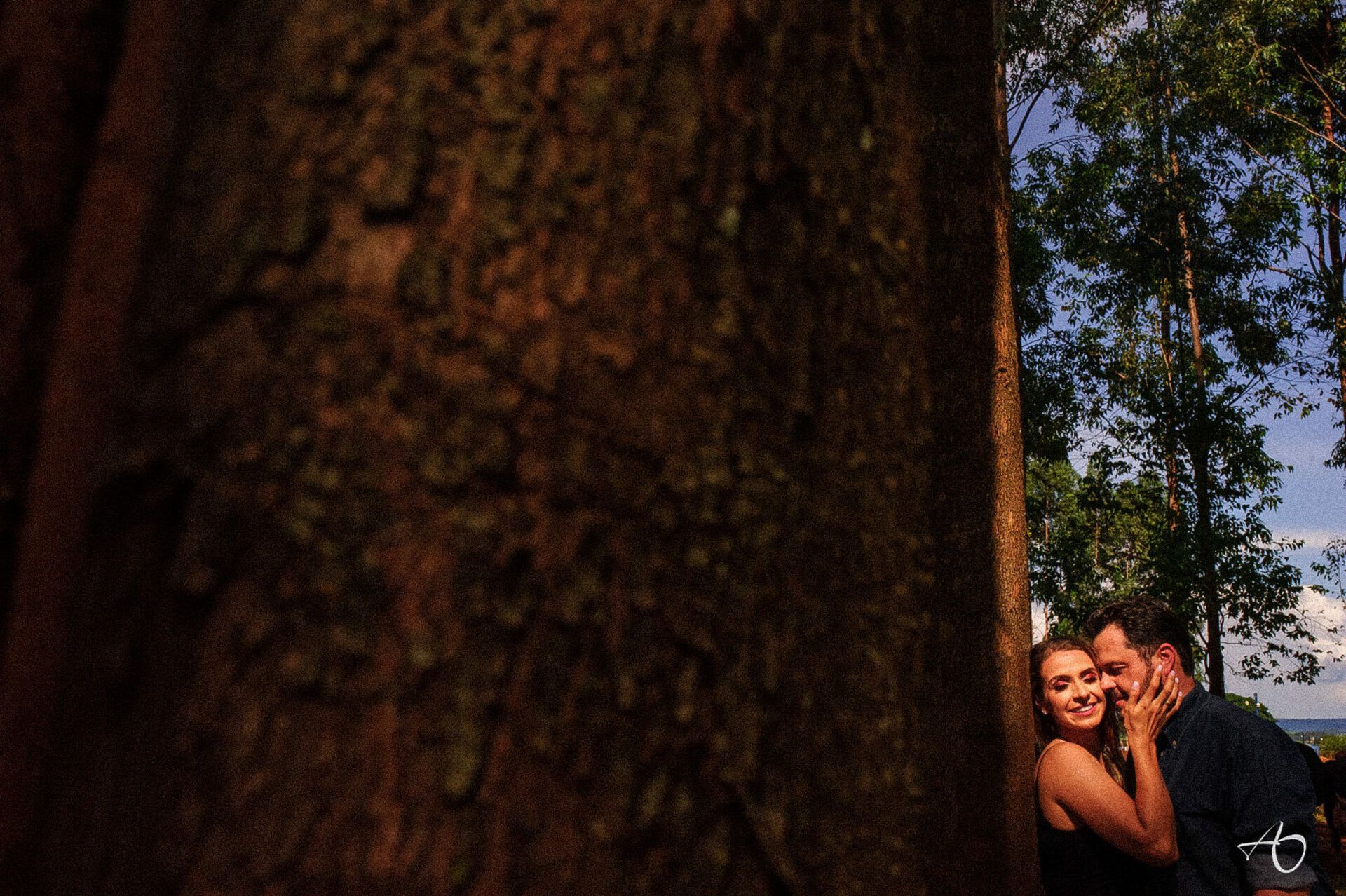 Alysson Oliveira Fotografia - 0 - 0