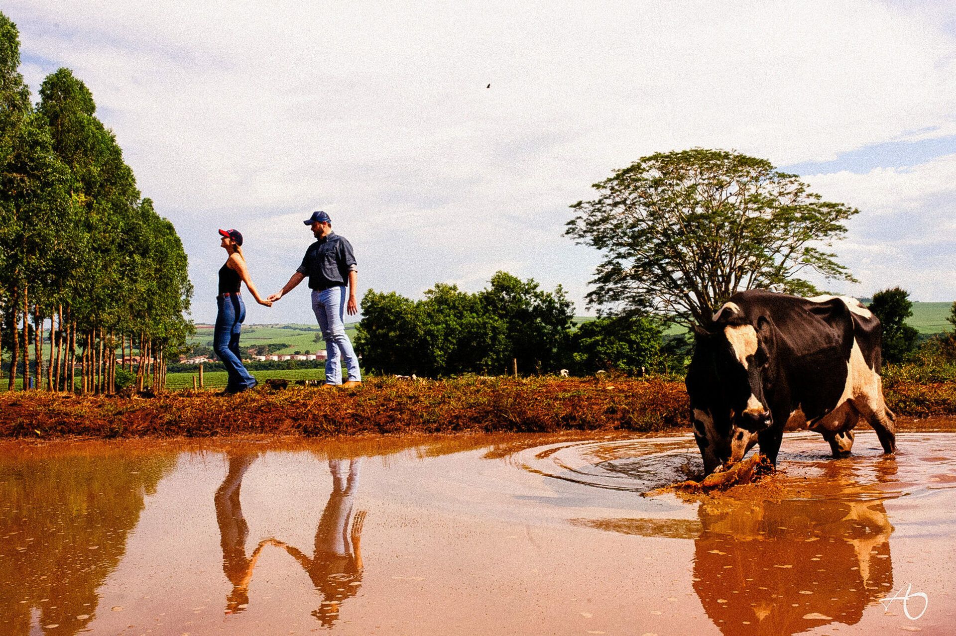 Alysson Oliveira Fotografia - 0 - 2