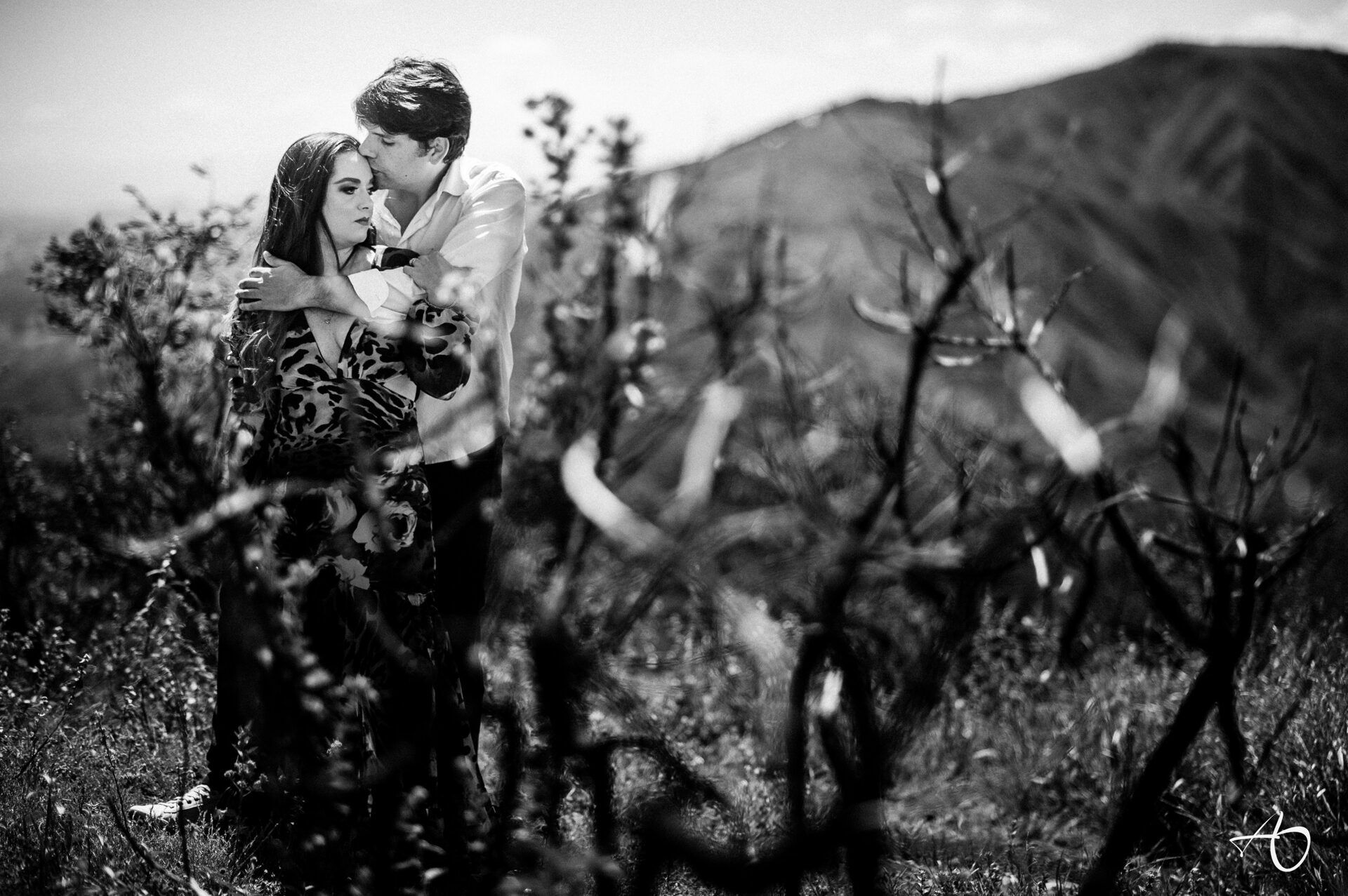 Alysson Oliveira Fotografia - 0 - 3