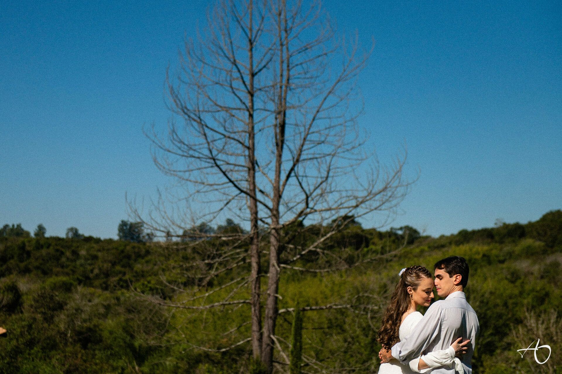 Alysson Oliveira Fotografia - 0 - 2