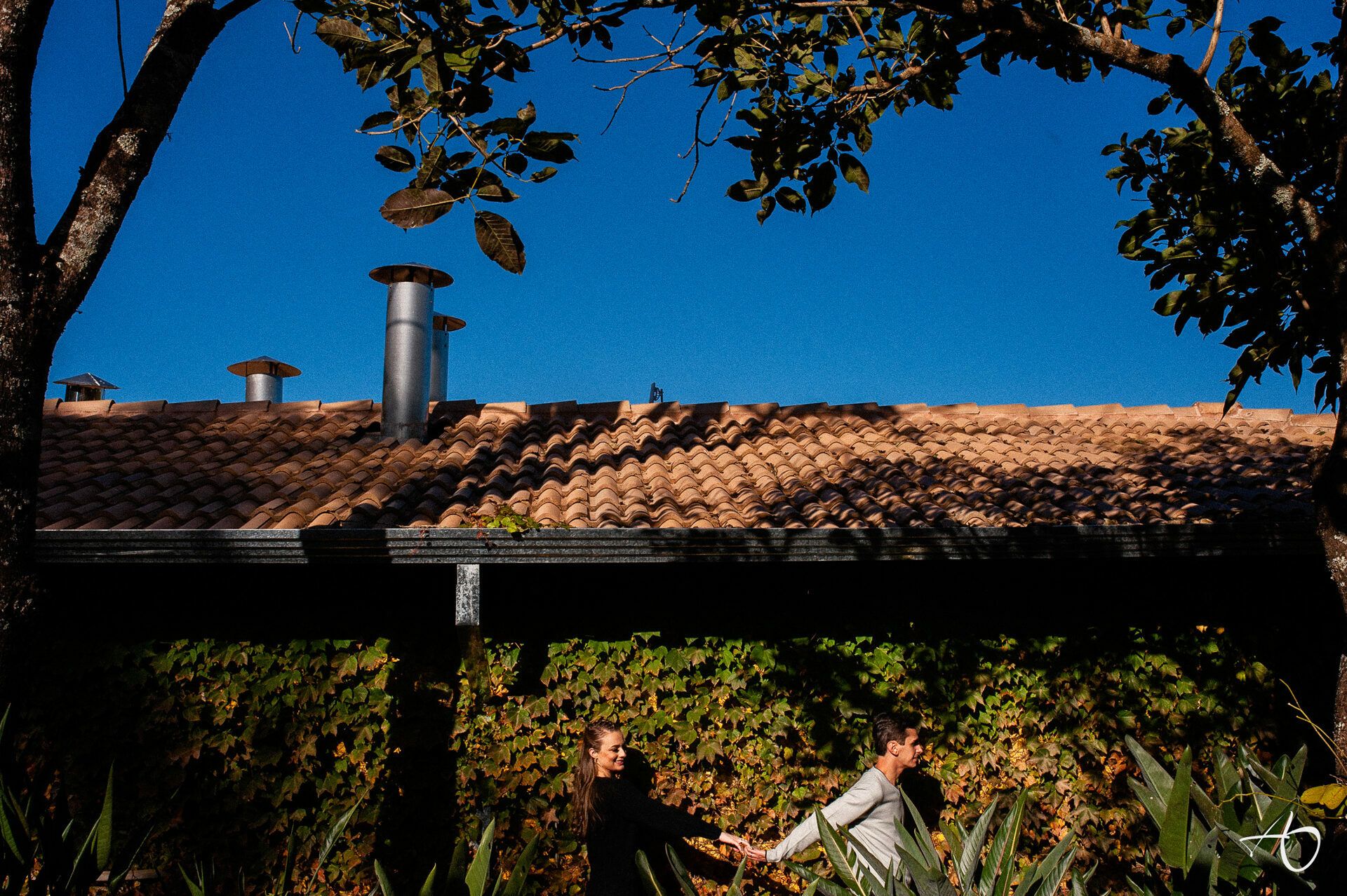 Alysson Oliveira Fotografia - 0 - 0