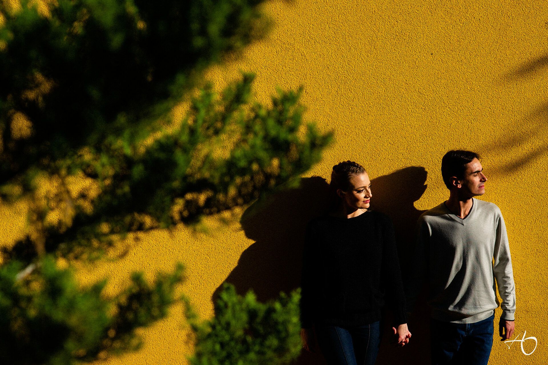 Alysson Oliveira Fotografia - 0 - 0