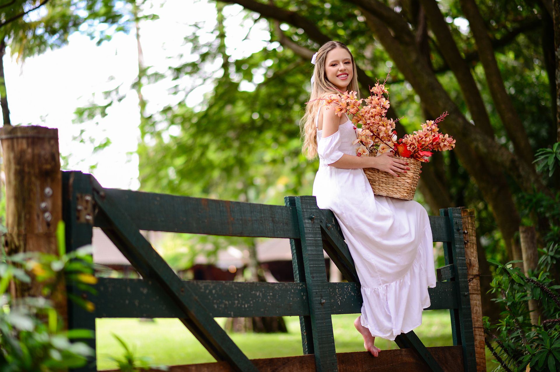 Book de 15 anos Ana Laura - 2 - 2