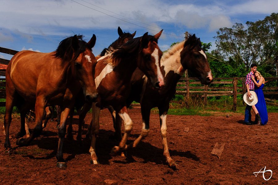 Pré-Wedding na Natureza: O Ensaio Divertido e Alegre de Ana e Lucimar na Fazenda - 2 - 10