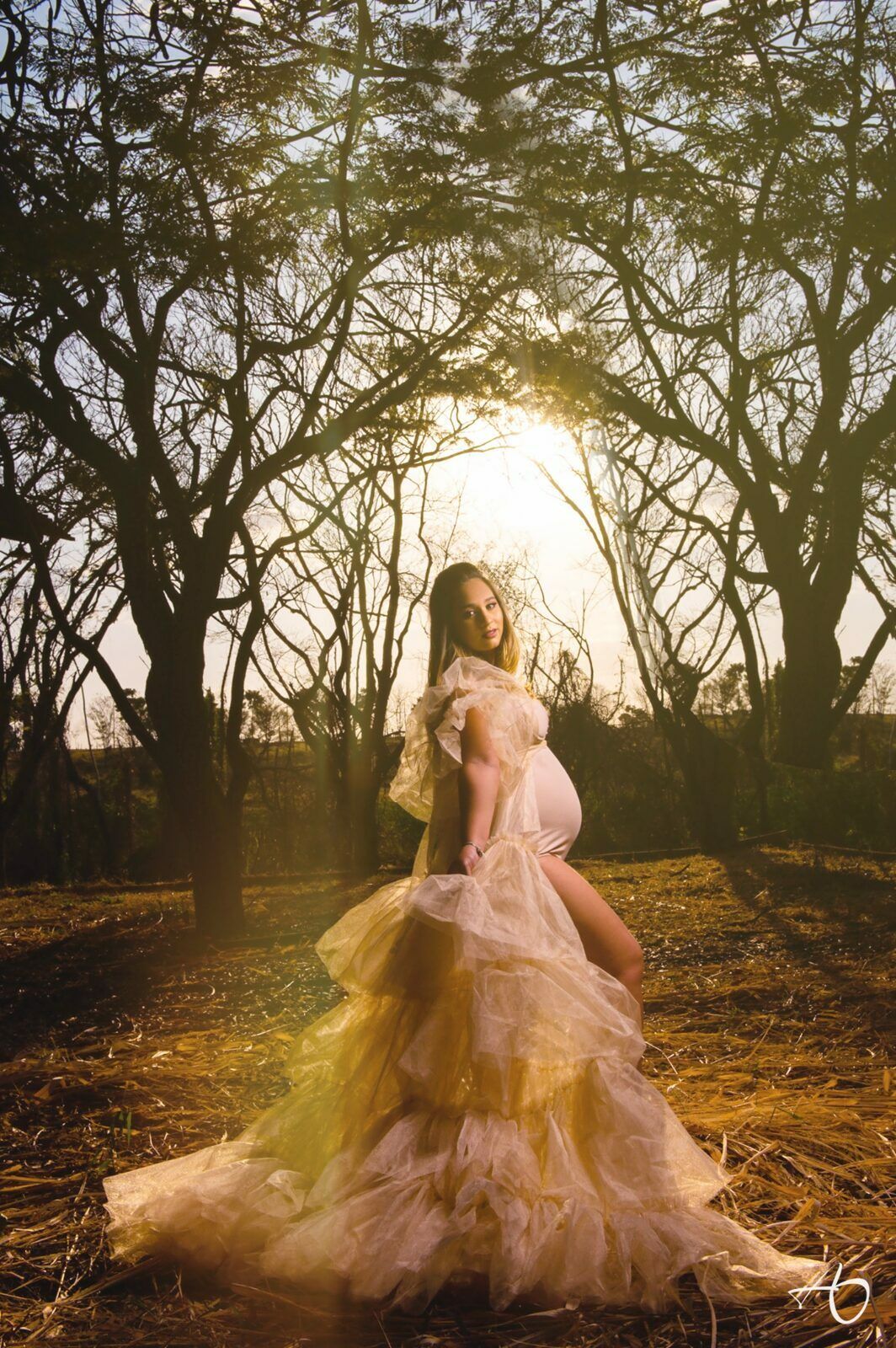 Conheça Melhor o Meu Trabalho - Cópia - 1 - 13