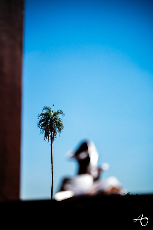 Casamento ao por do Sol Catarina e Lucas - 2 - 0