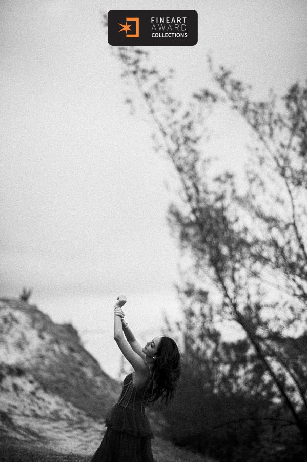 Book Fashion Fifteen da Manu é premiado pela Fine Art Association - 2 - 3