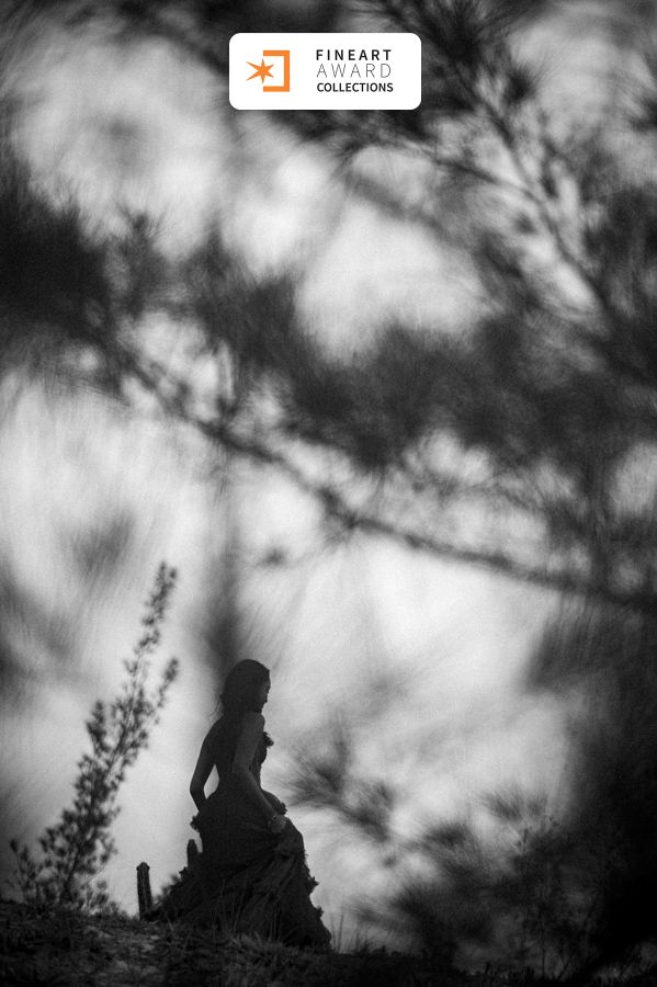 Book Fashion Fifteen da Manu é premiado pela Fine Art Association - 2 - 2