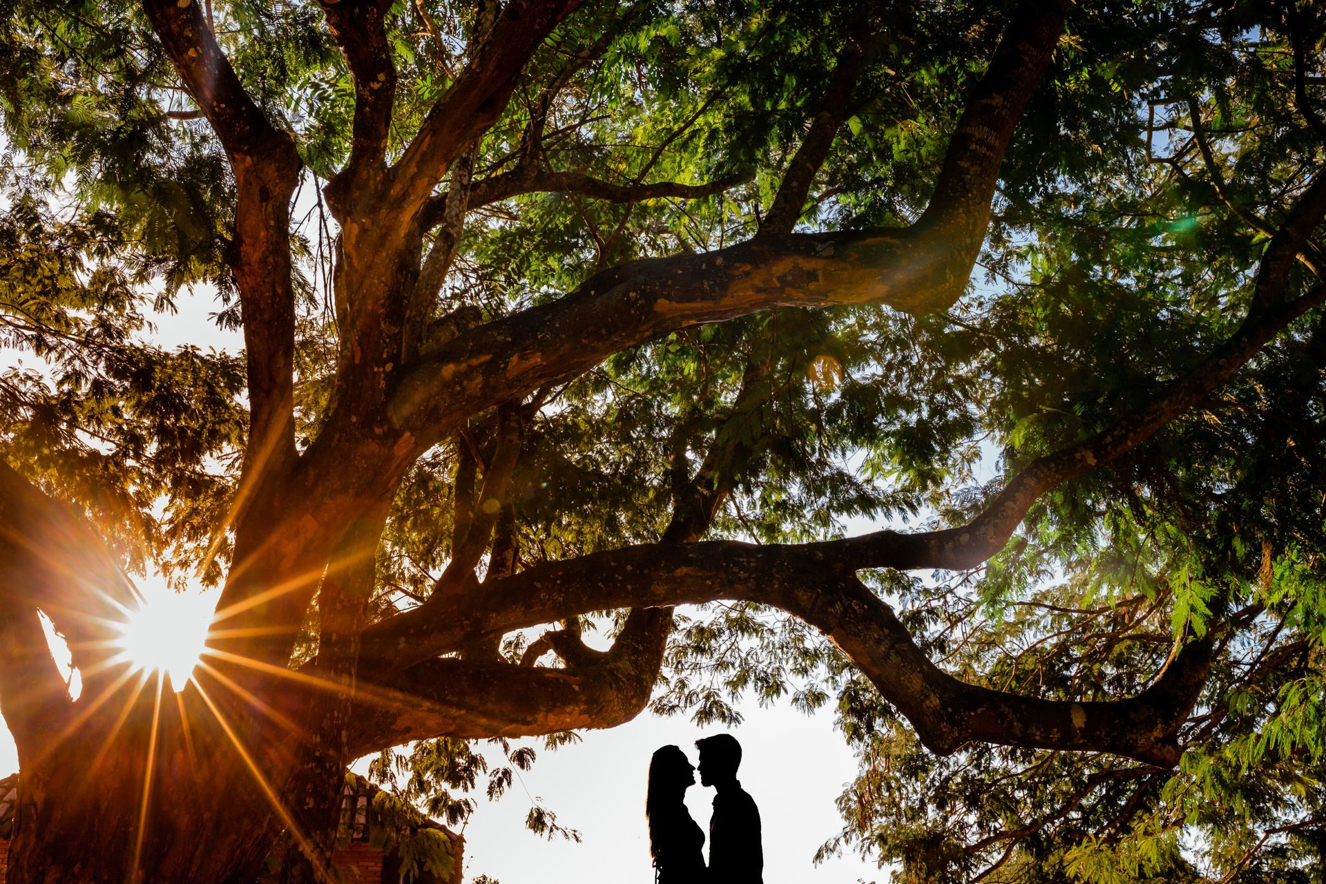 Luana e Gelver - 2 - 14