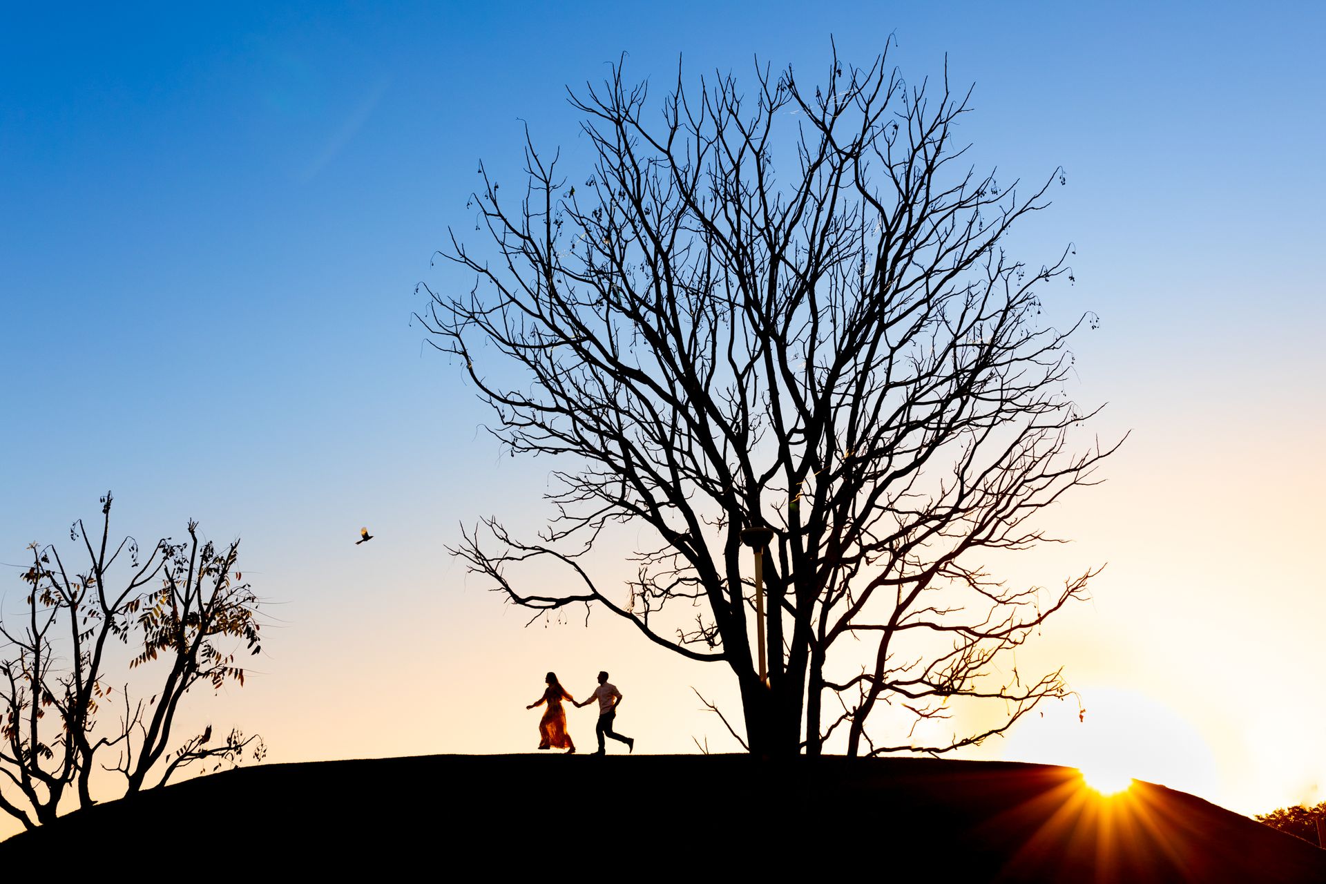 Marcos Dias - Slide 12