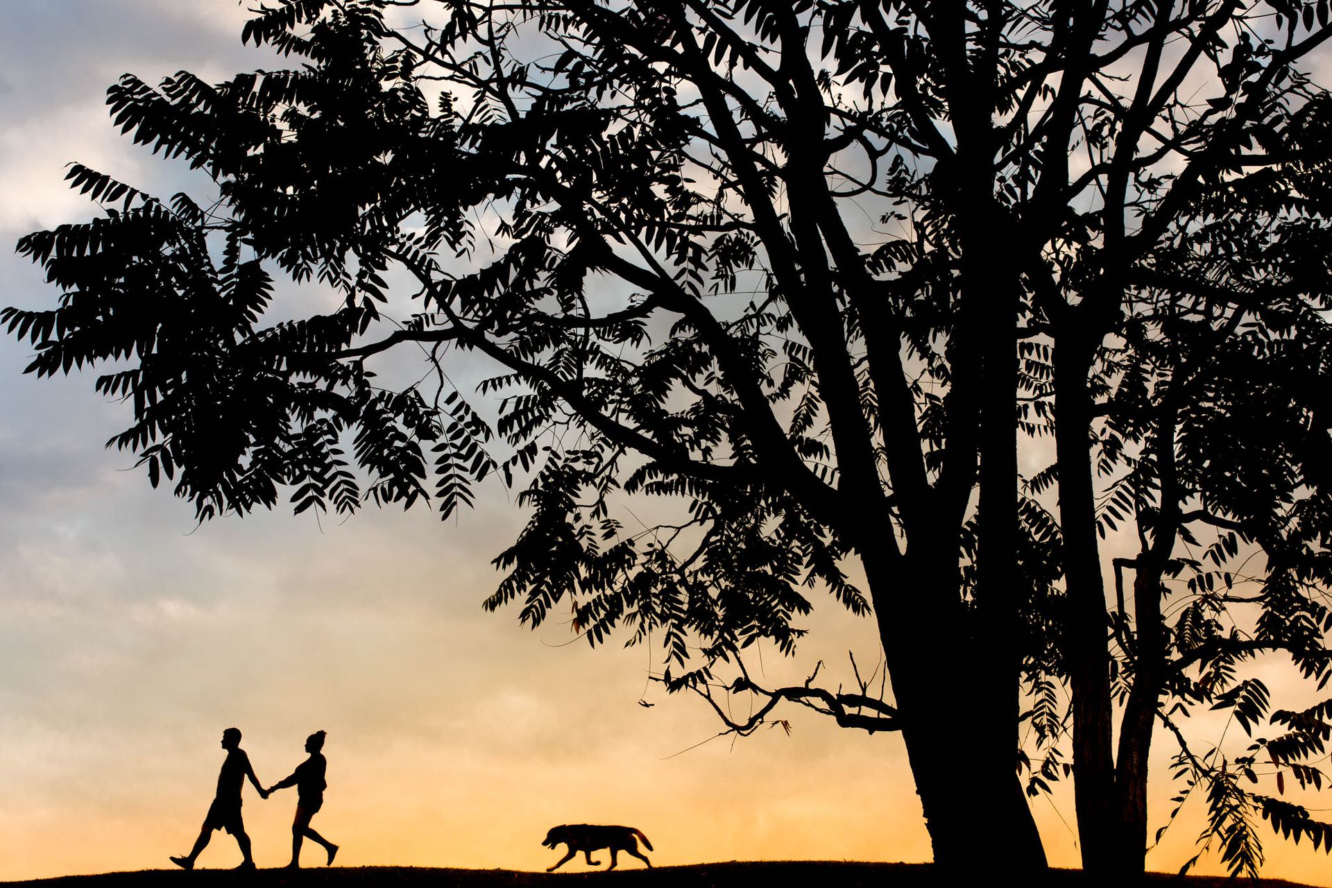 Mentoria Indivdual - 10 - 16