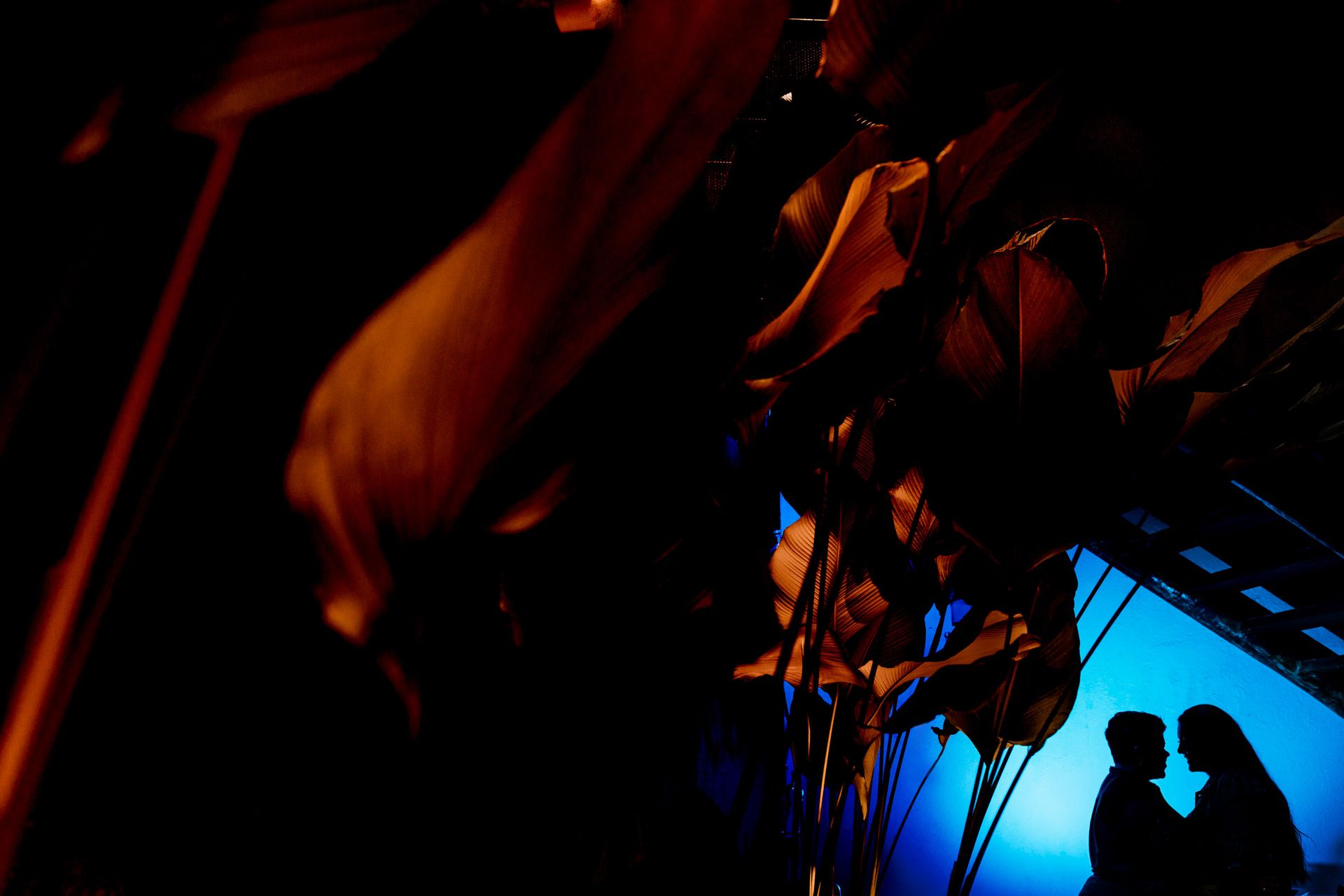 Thaise e Luiza - 2 - 18