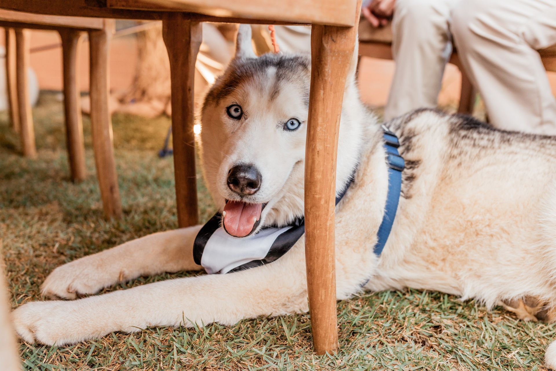 Ana Clara e Ricardo - 2 - 45
