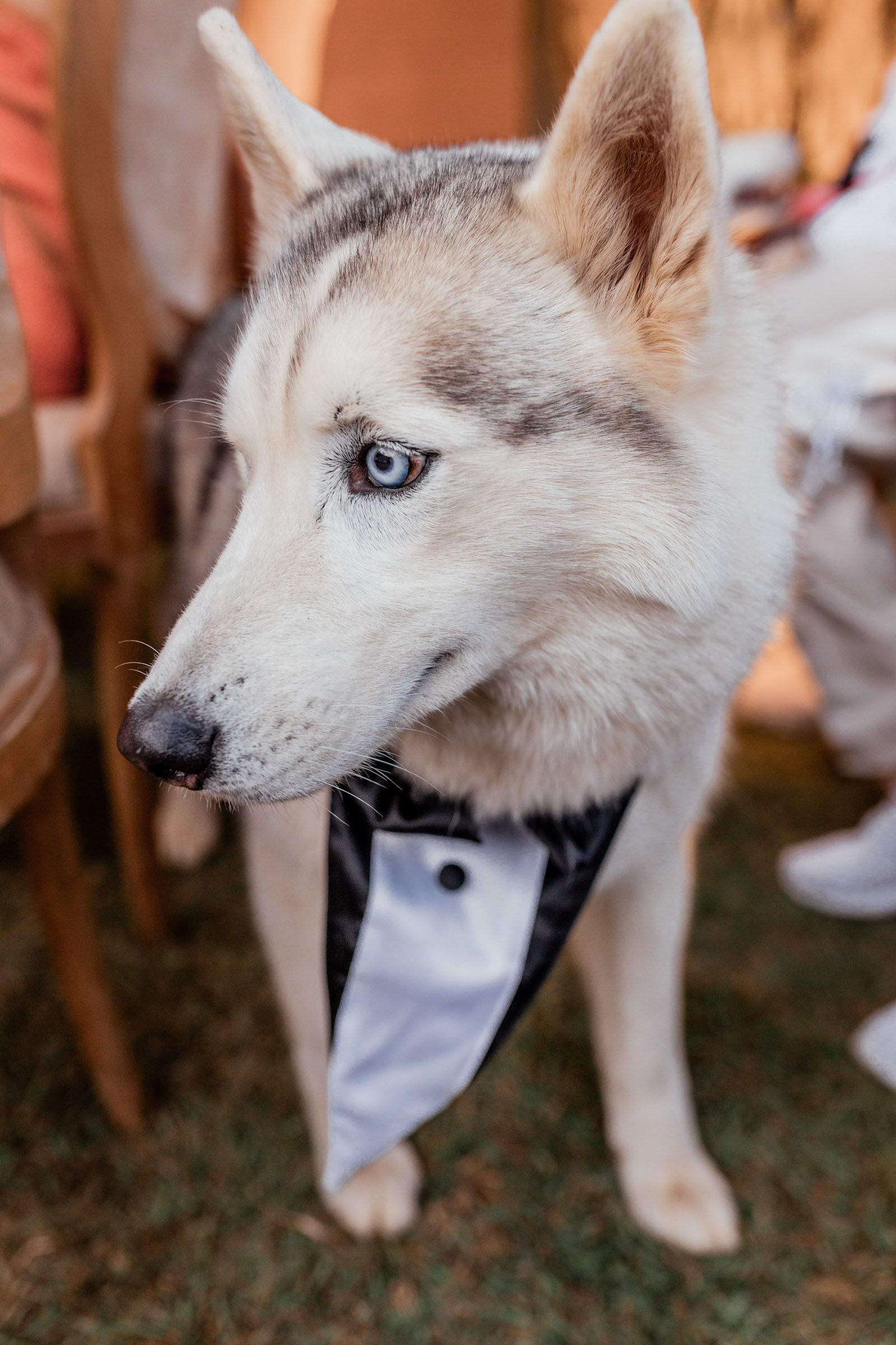 Ana Clara e Ricardo - 2 - 61