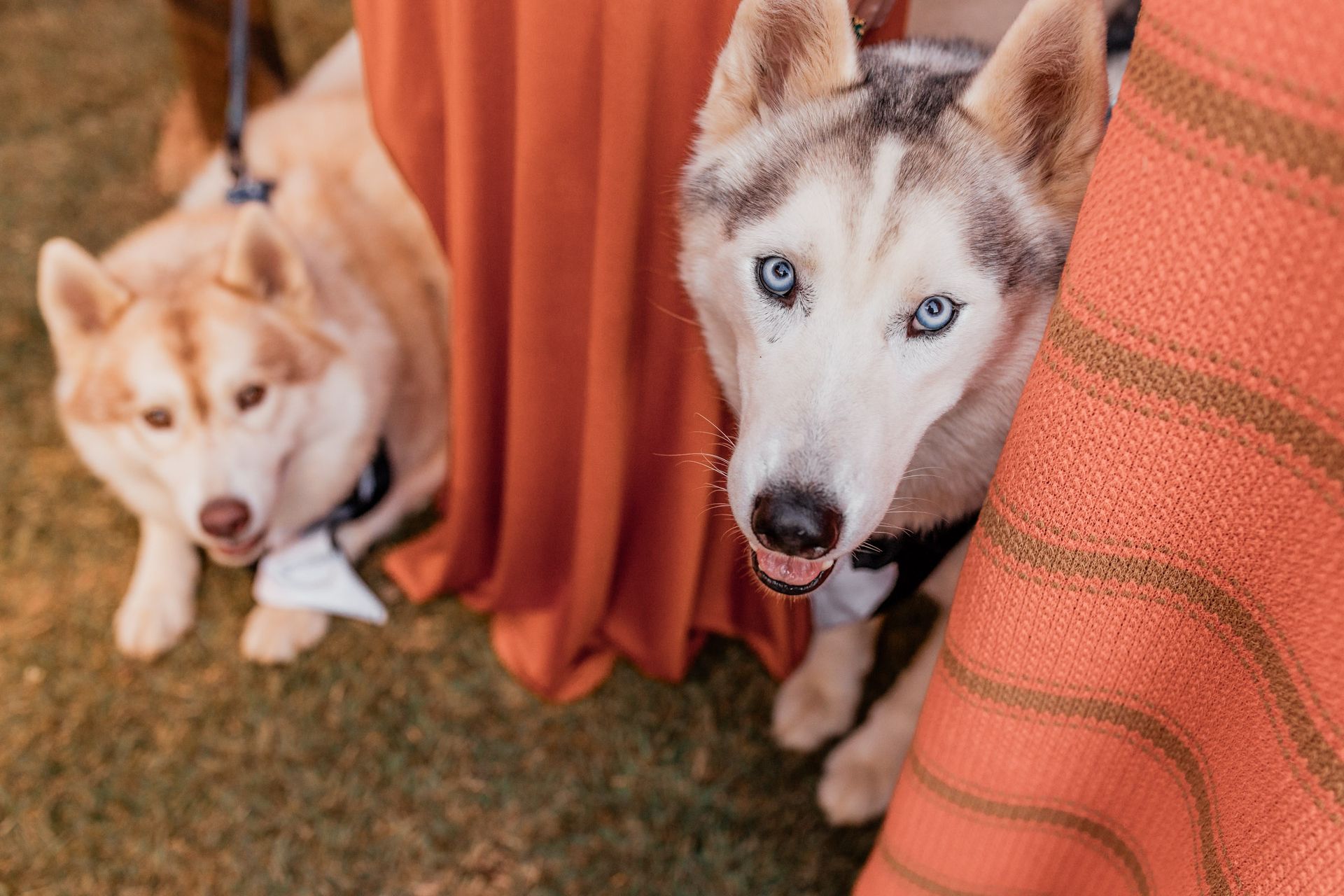 Ana Clara e Ricardo - 2 - 65
