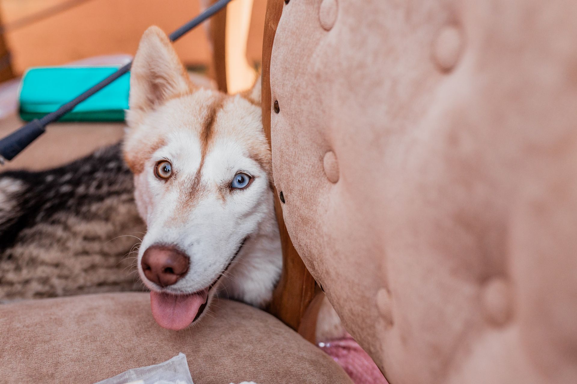 Ana Clara e Ricardo - 2 - 64