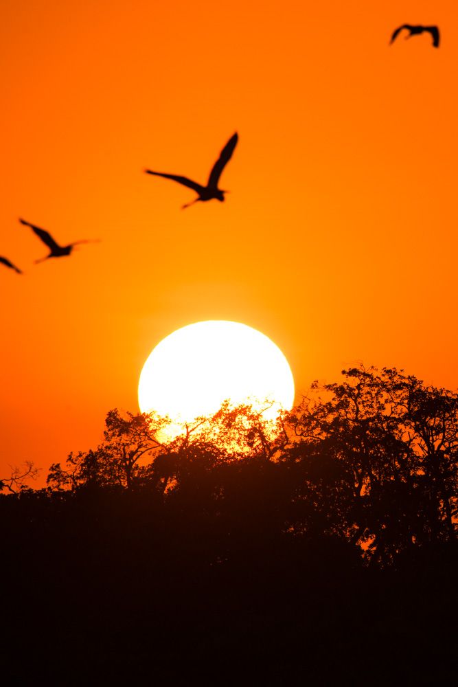 Lençois Maranhenses - Pôr do sol - 2 - 2