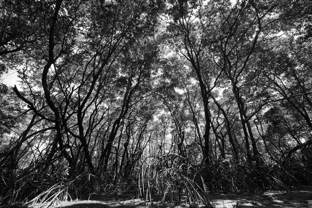 Lençois Maranhenses - Preto e Branco - 2 - 9