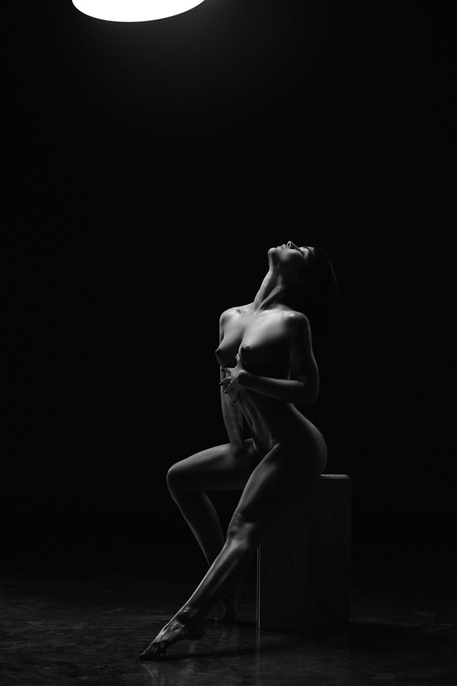 Dança das Sombras: Elegância e Expressão - 4 - 0