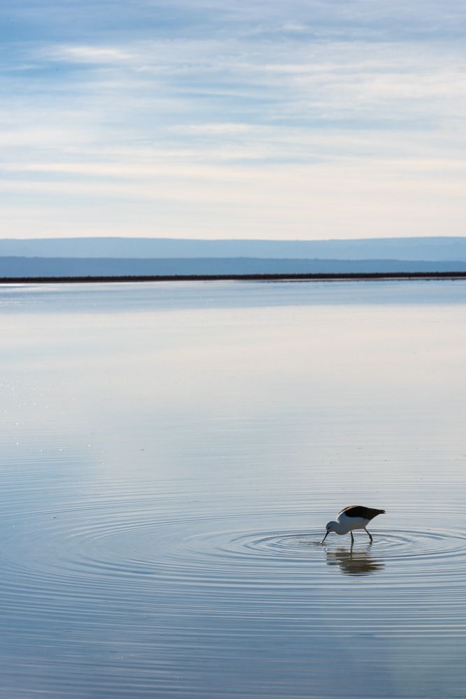 Deserto do Atacama - 2 - 8