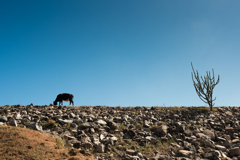 Raso da Catarina - 2 - 2