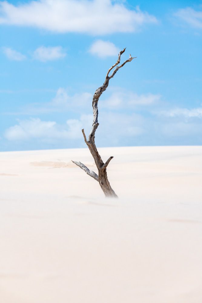 Lençois Maranhenses - Dunas - 2 - 3