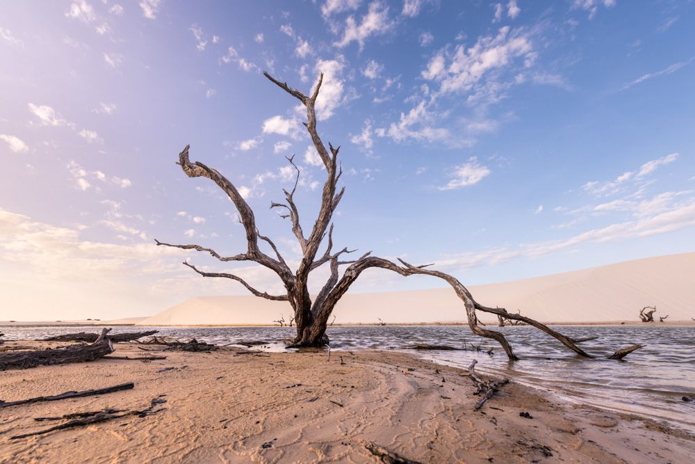 Lençois Maranhenses - Dunas - 2 - 2