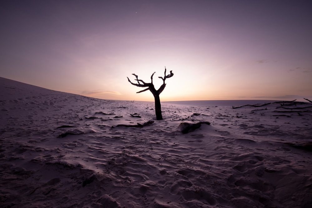 Lençois Maranhenses - Dunas - 2 - 0