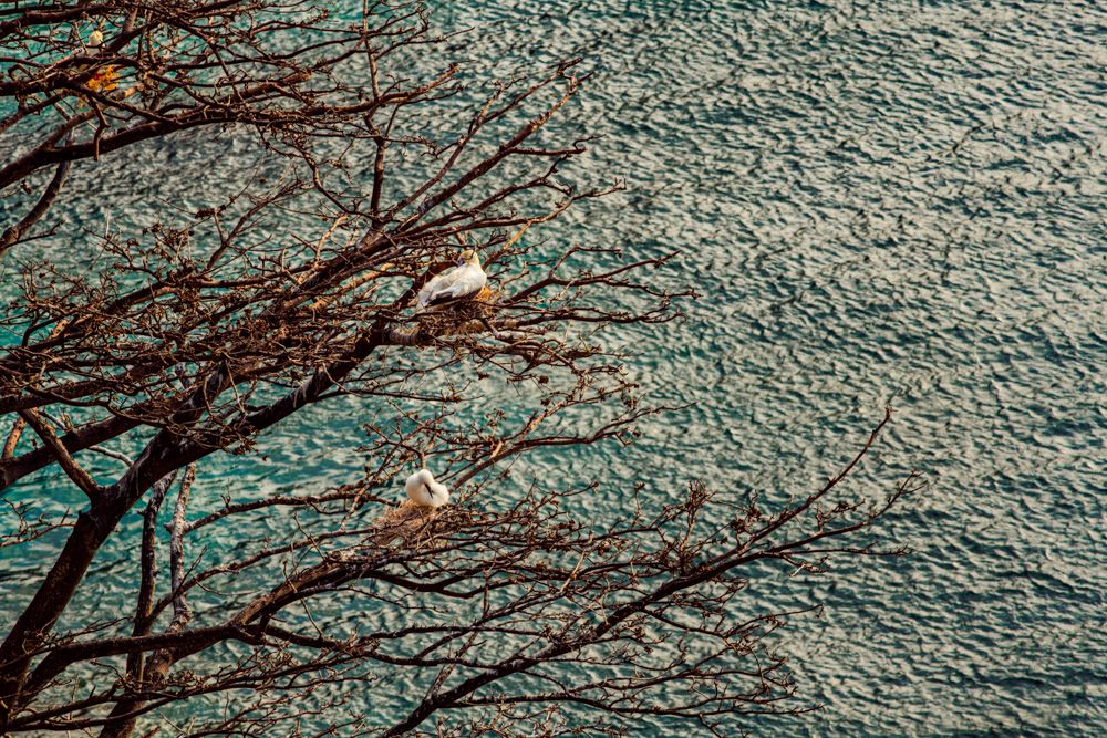Fernando de Noronha - 2 - 0